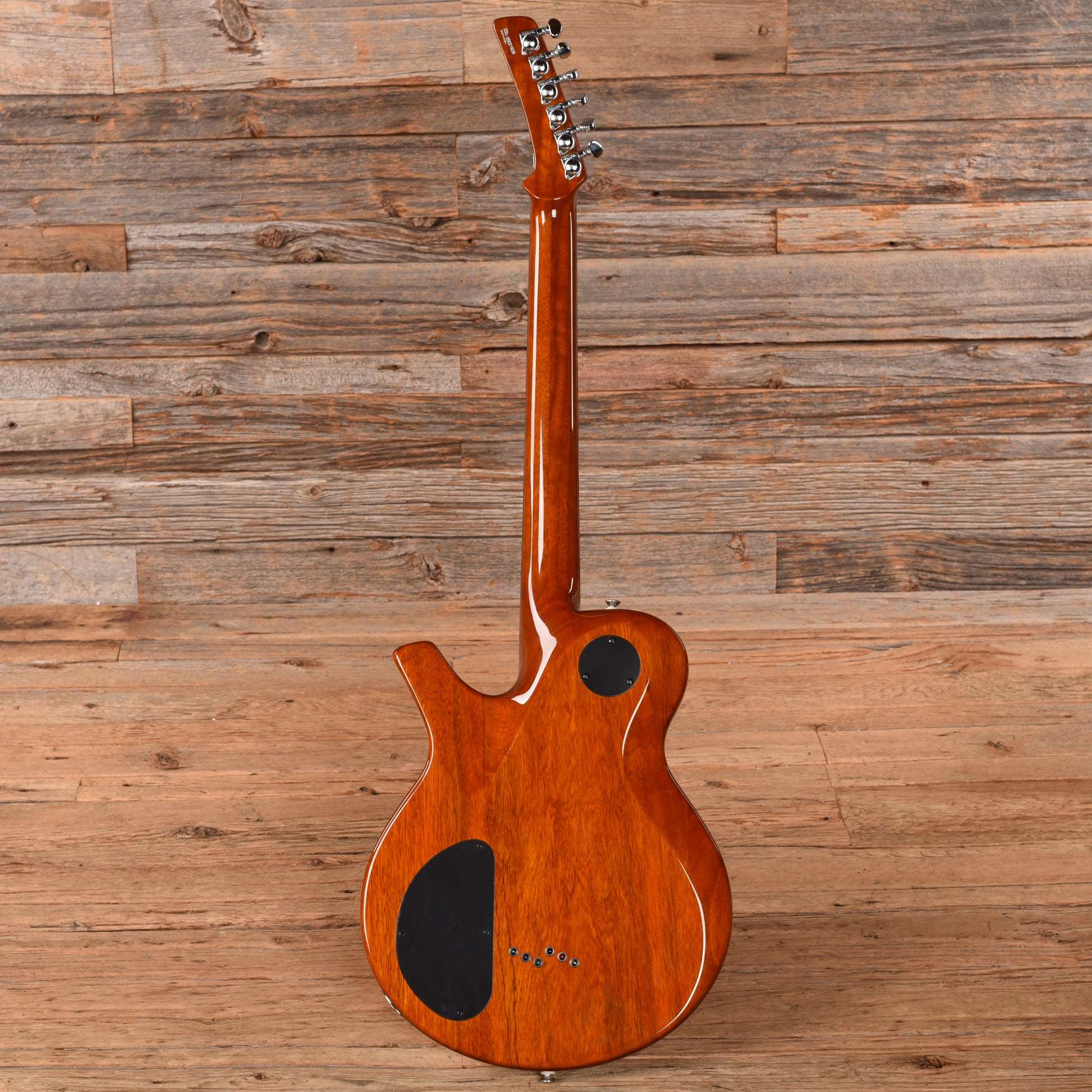 Parker PM-20 Mappa Burl 2005 Electric Guitars