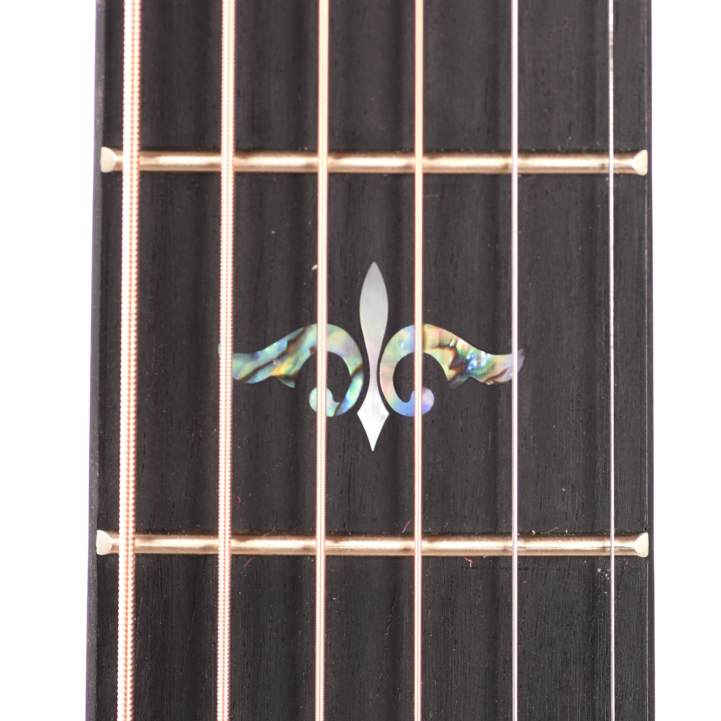 Taylor Custom "The Catch" NAMM 2024 #25 C14ce Grand Auditorium Western Red Cedar/East Indian Rosewood Brown Sugar Mocha