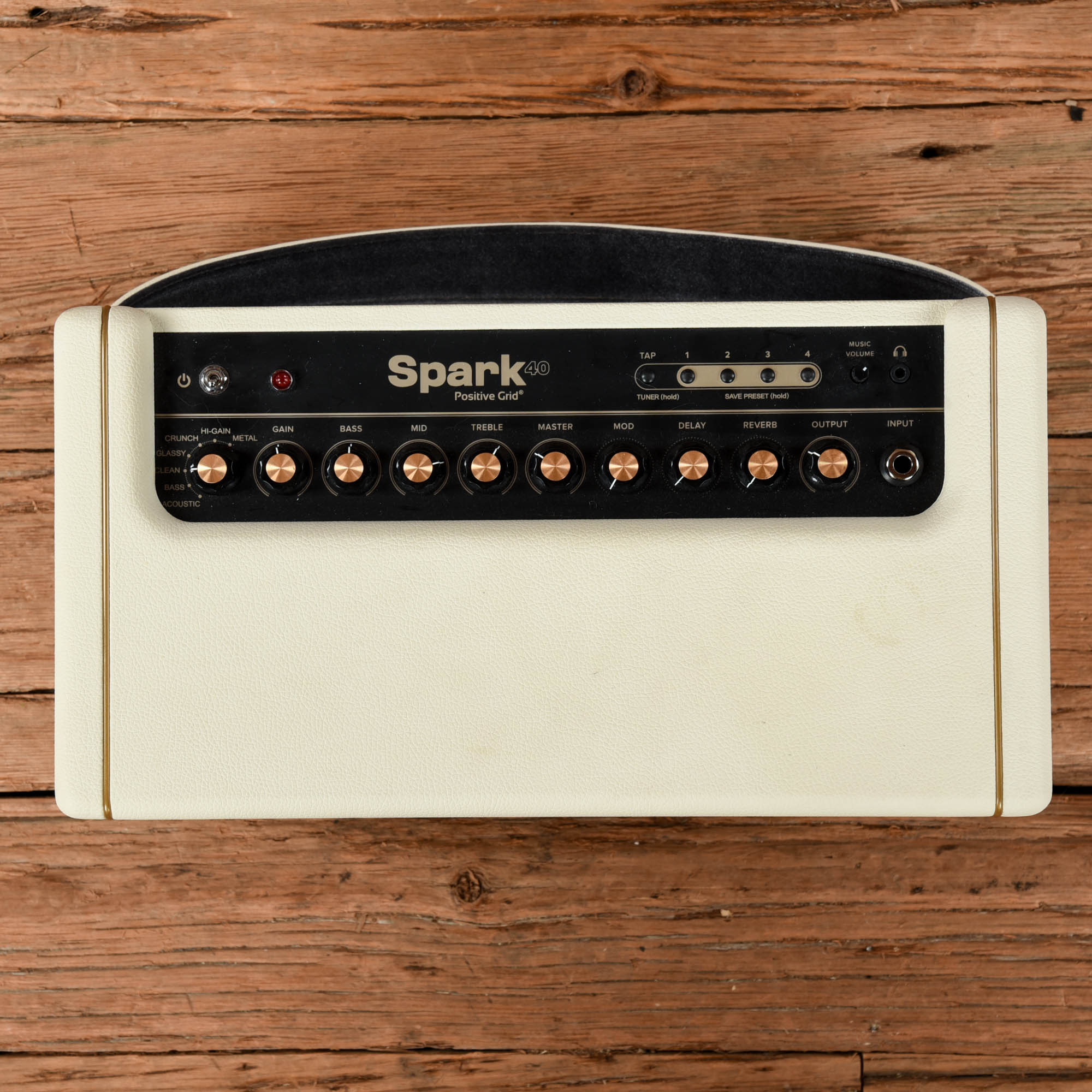 Positive Grid Spark 40 40-Watt 2x4