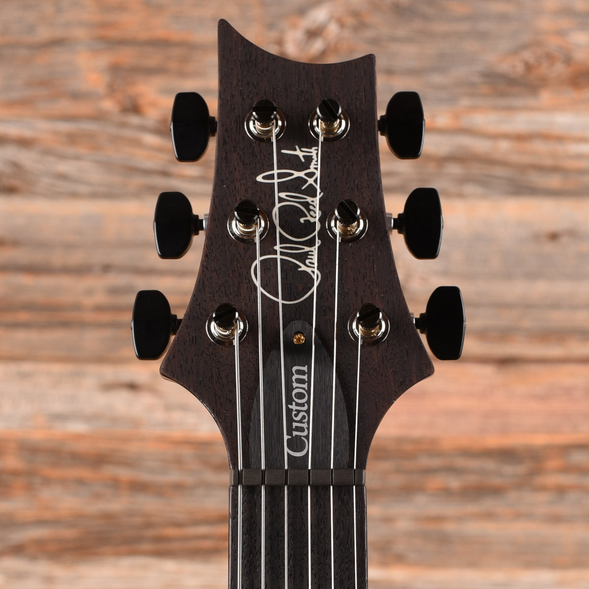 PRS Custom 24 10-Top Arctic Blue 2026 Electric Guitars