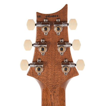 PRS DGT Tiger Eye w/Birds Electric Guitars