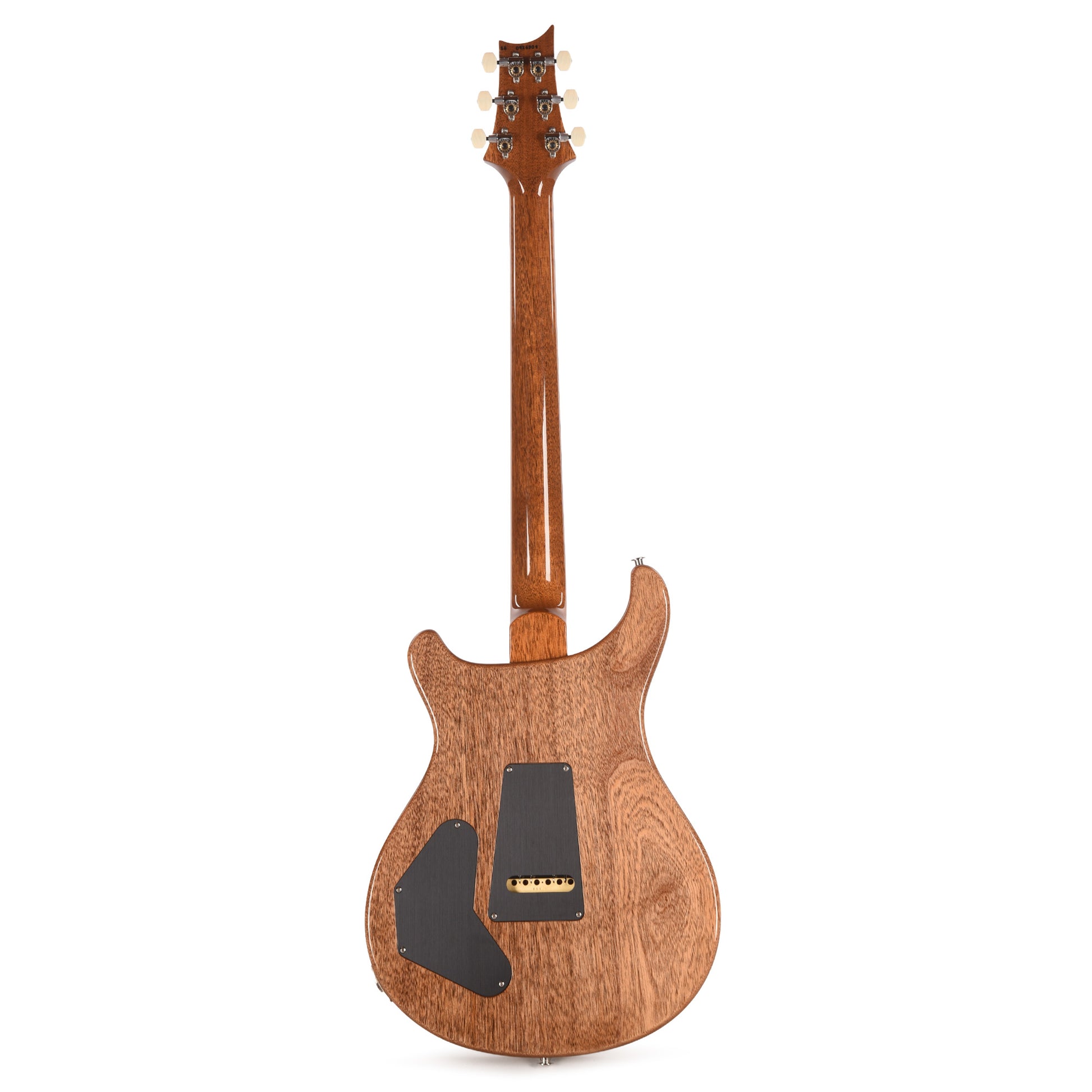 PRS DGT Tiger Eye w/Birds Electric Guitars