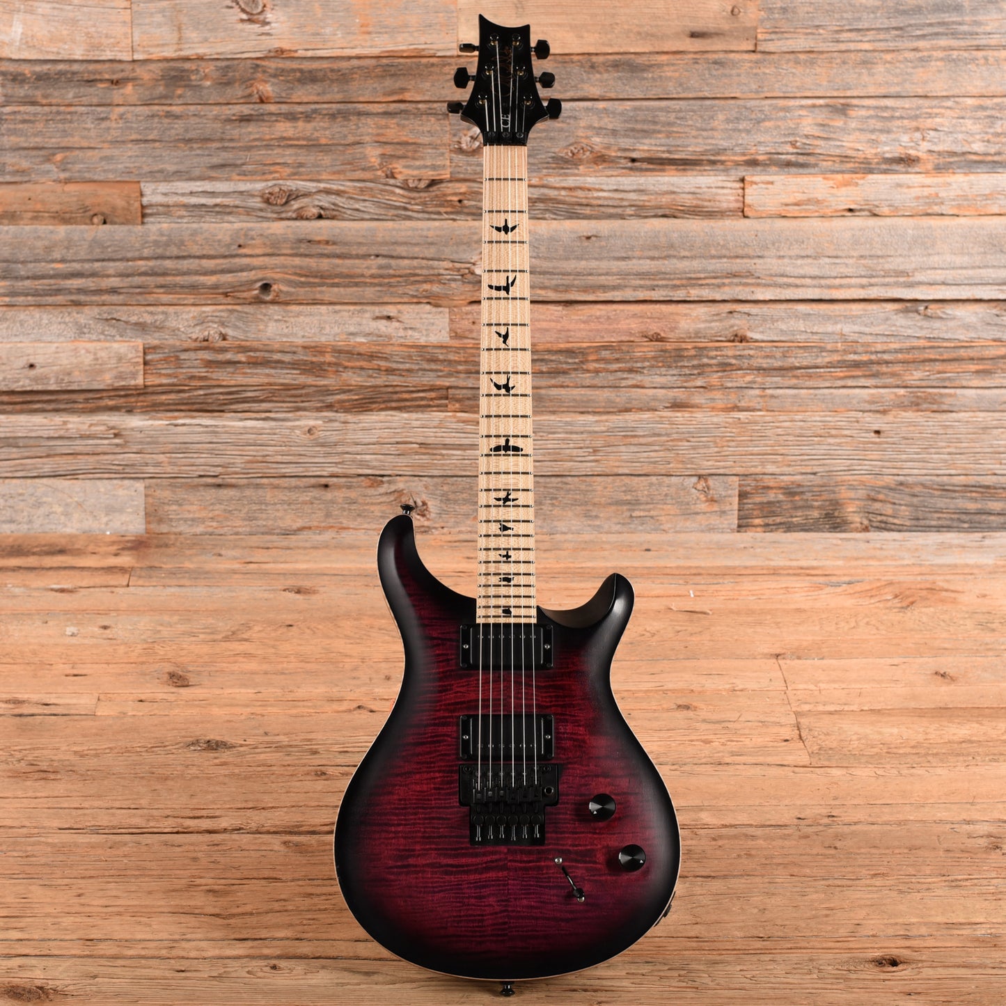 PRS Dustie Waring Signature CE24 Floyd Gen. II Waring Burst 2020 Electric Guitars