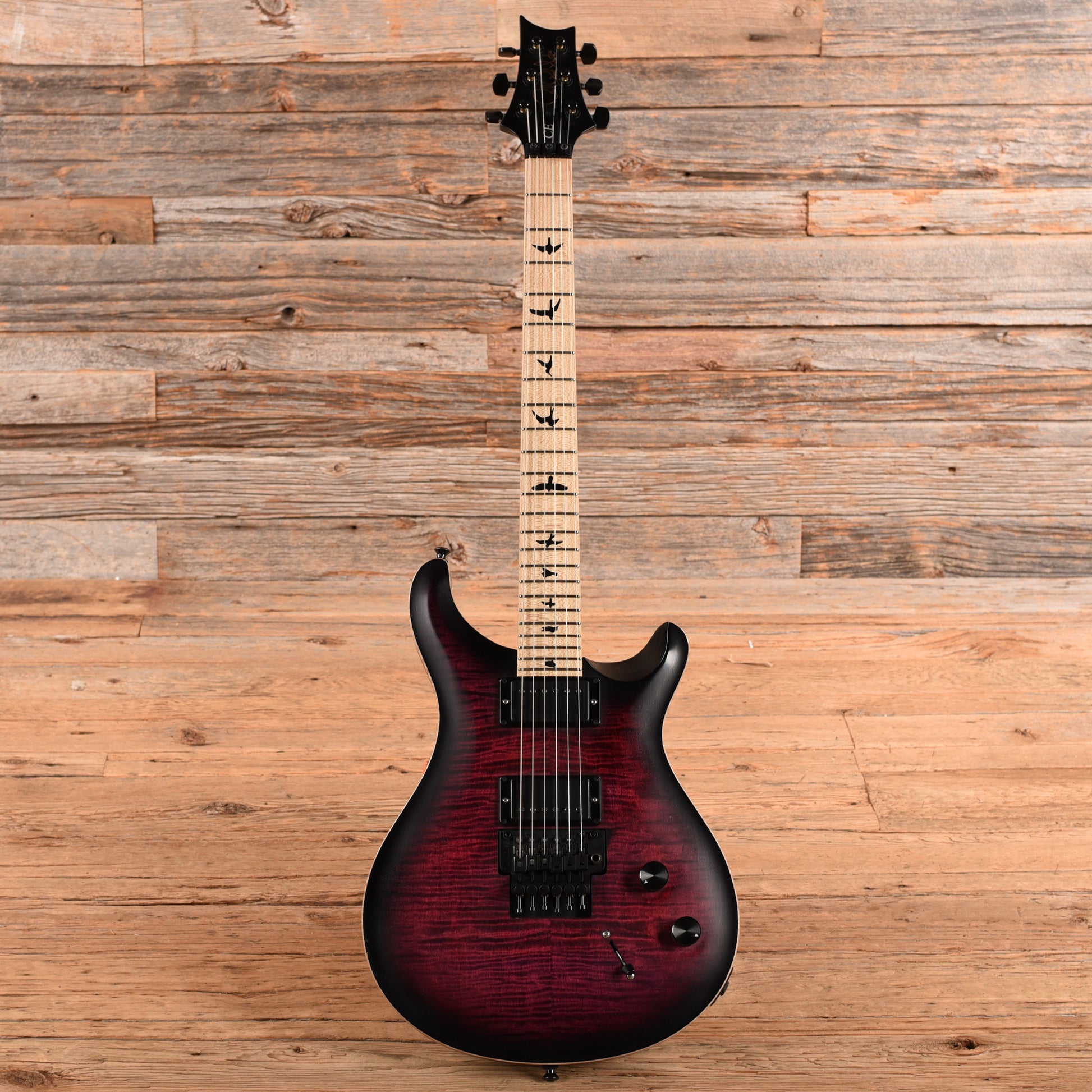 PRS Dustie Waring Signature CE24 Floyd Gen. II Waring Burst 2020 Electric Guitars
