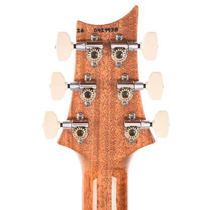 PRS Limited Edition "Birds of a Feather" Custom 24 Charcoal Microburst Electric Guitars