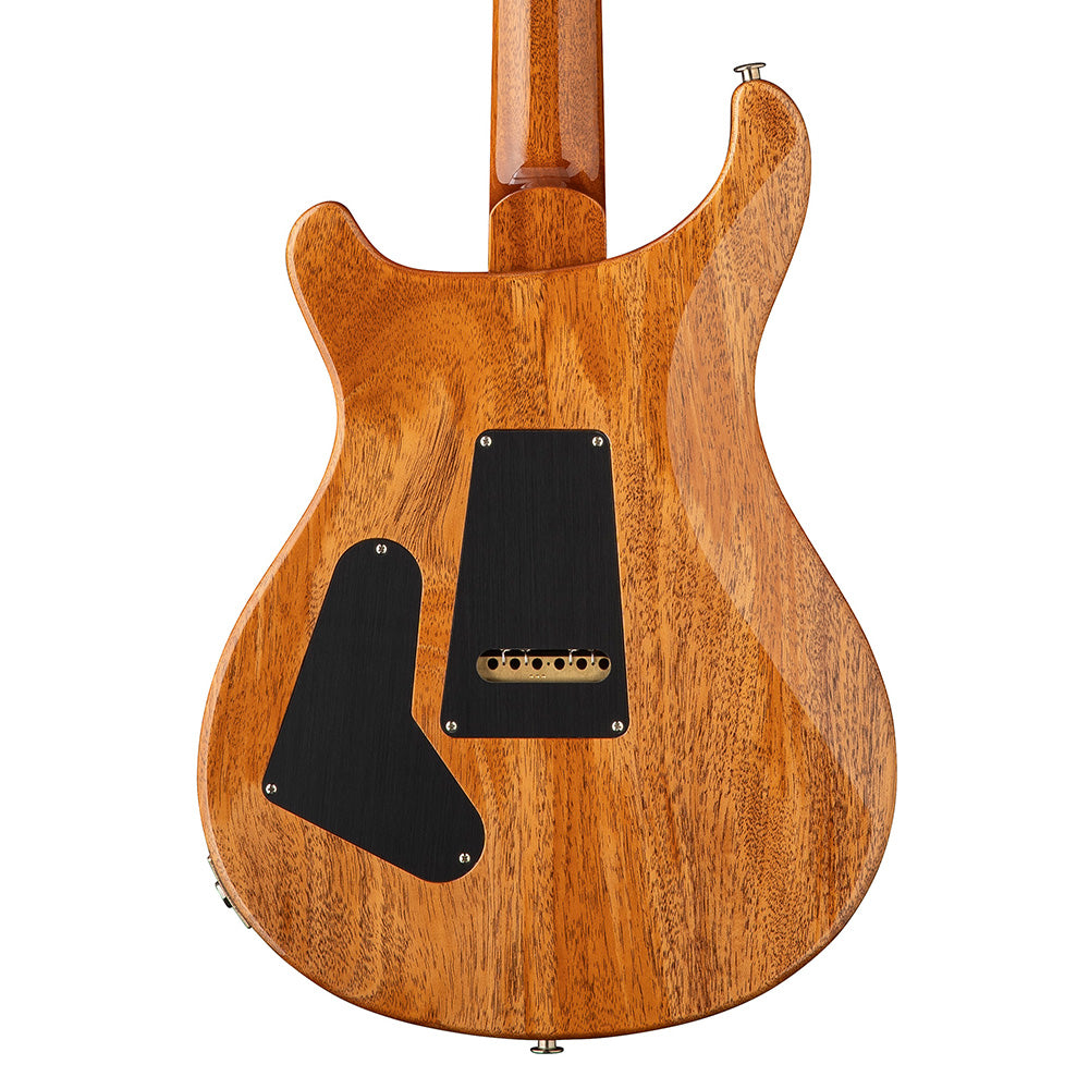 PRS Limited Edition "Birds of a Feather" Custom 24 Charcoal Microburst Electric Guitars