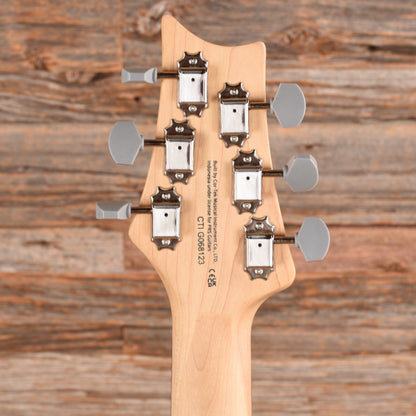 PRS SE Silver Sky Stone Blue Electric Guitars