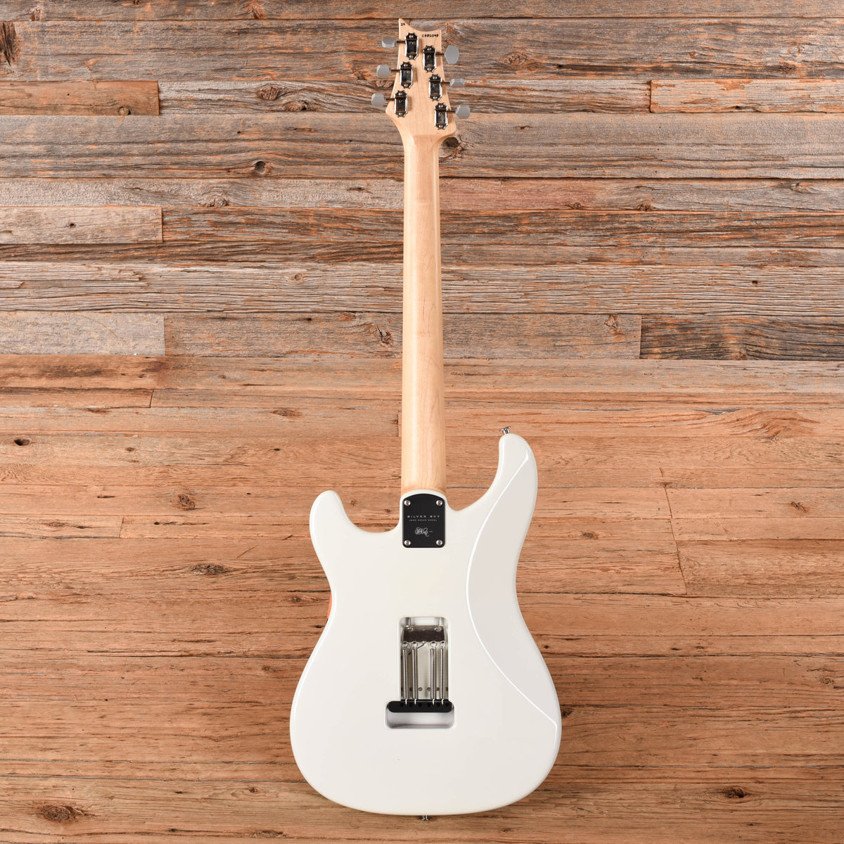 PRS Silver Sky Frost 2024 Electric Guitars