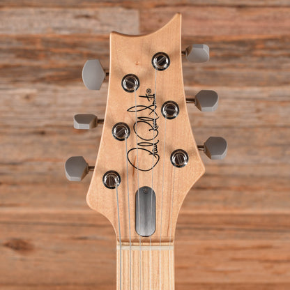PRS Silver Sky Frost 2024 Electric Guitars