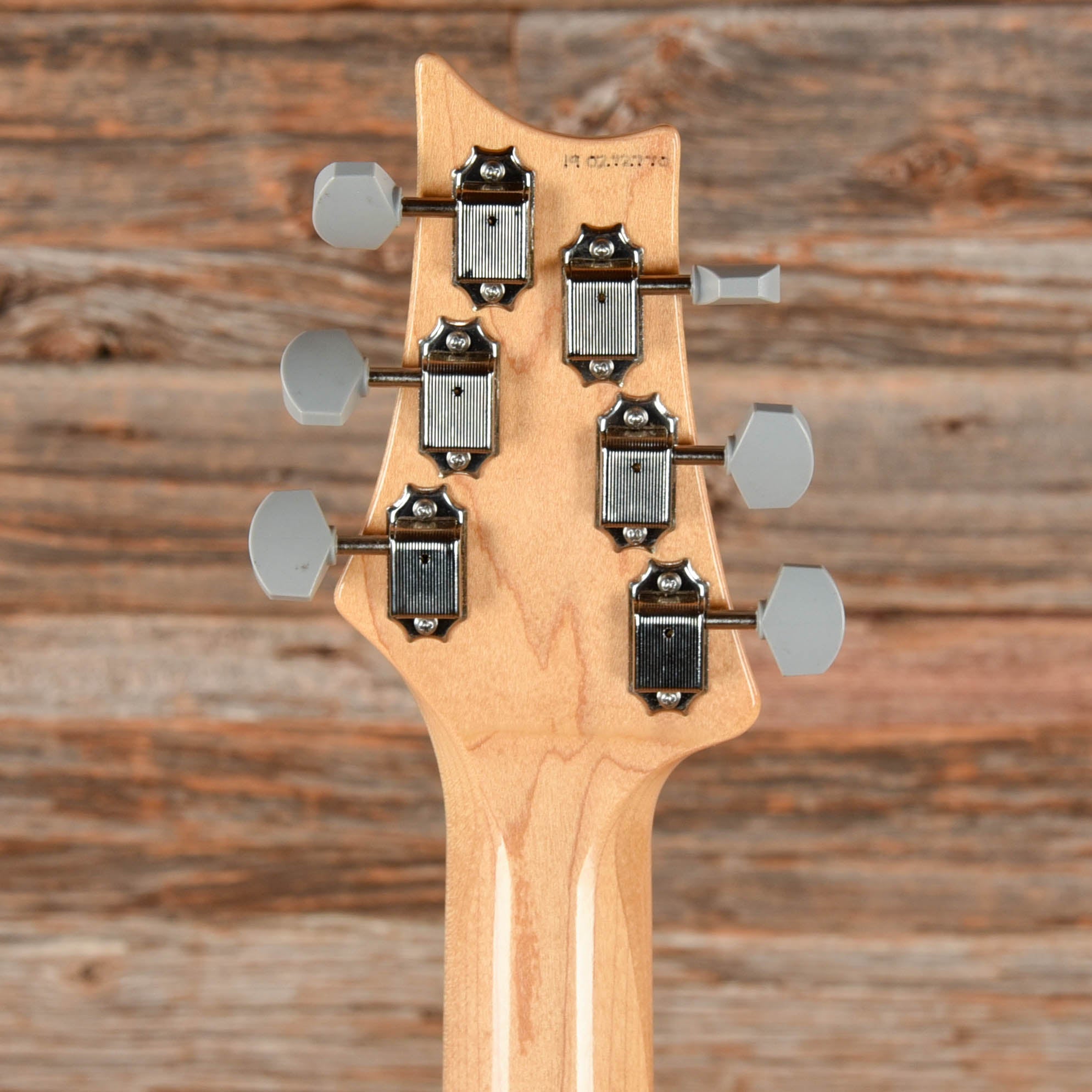 PRS Silver Sky Horizon 2019 Electric Guitars