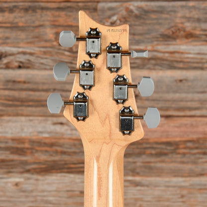 PRS Silver Sky Horizon 2019 Electric Guitars