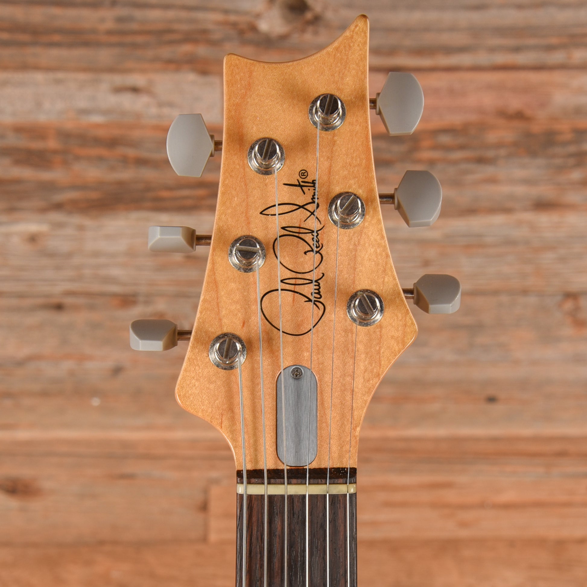 PRS Silver Sky John Mayer Signature Frost 2018 Electric Guitars