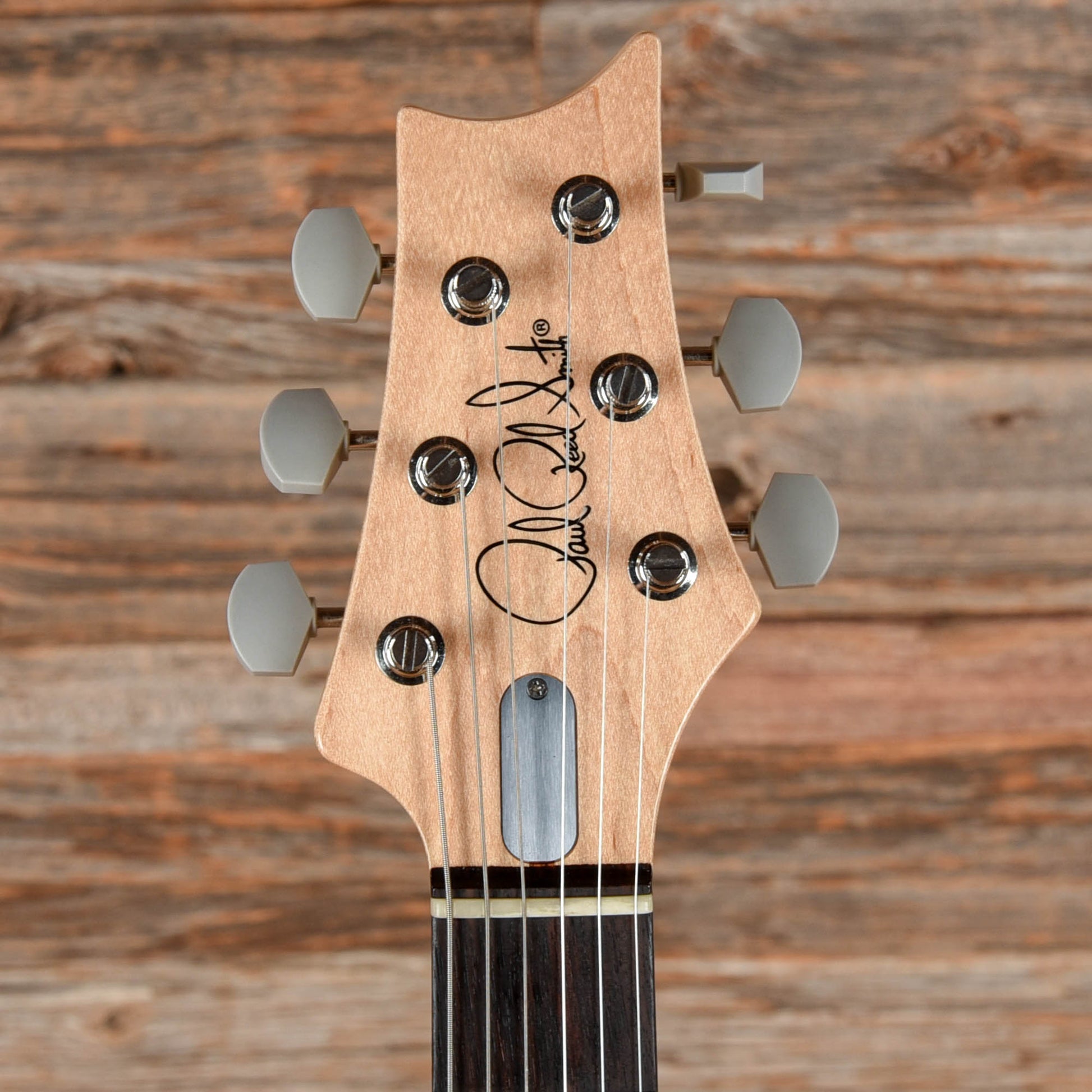 PRS Silver Sky john Mayer Signature Frost 2022 Electric Guitars