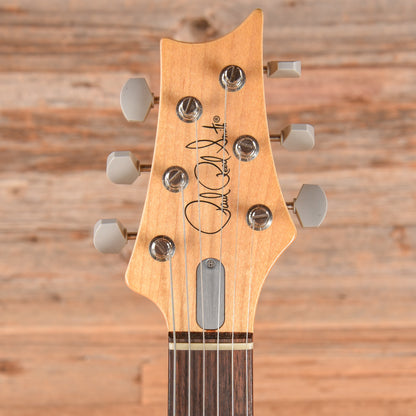 PRS Silver Sky John Mayer Signature Golden Mesa 2019 Electric Guitars