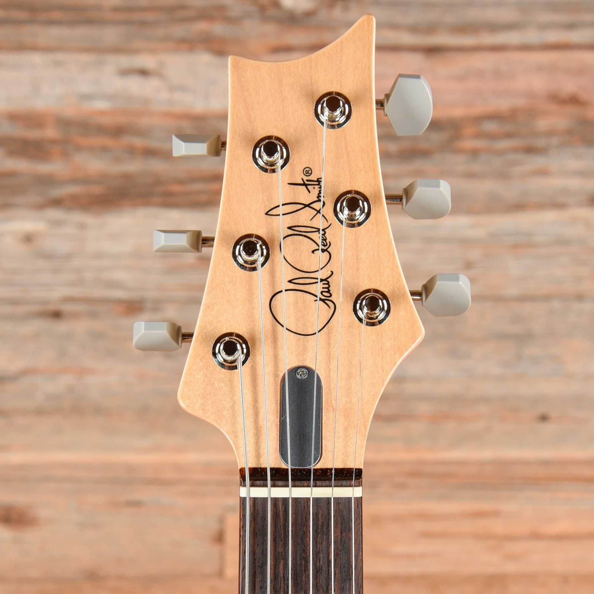 PRS Silver Sky Tungsten 2024 Electric Guitars