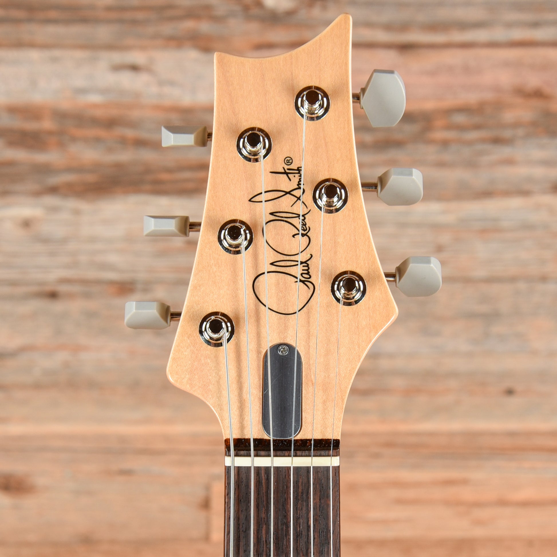 PRS Silver Sky Tungsten 2024 Electric Guitars