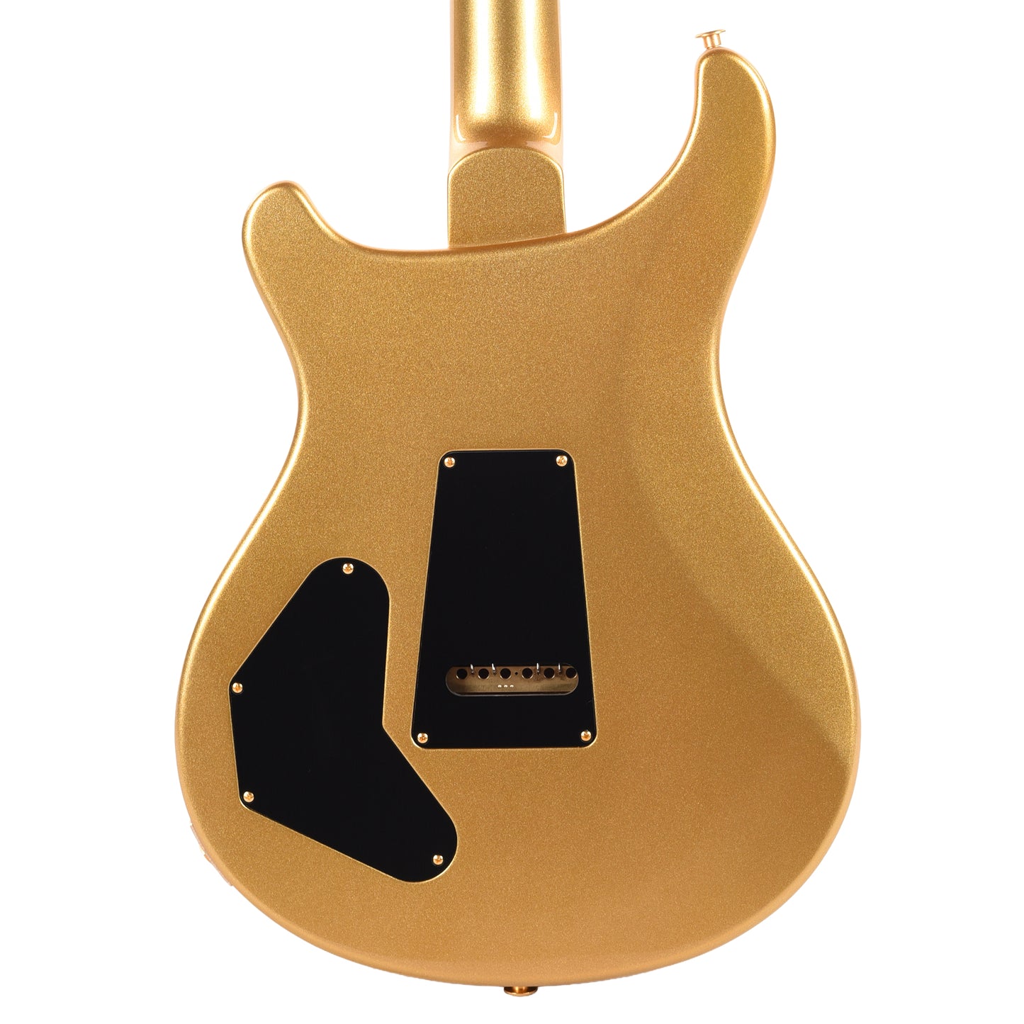 PRS Wood Library DGT 10-Top Arctic Blue w/Gold Metallic Back & Brazilian Rosewood Electric Guitars