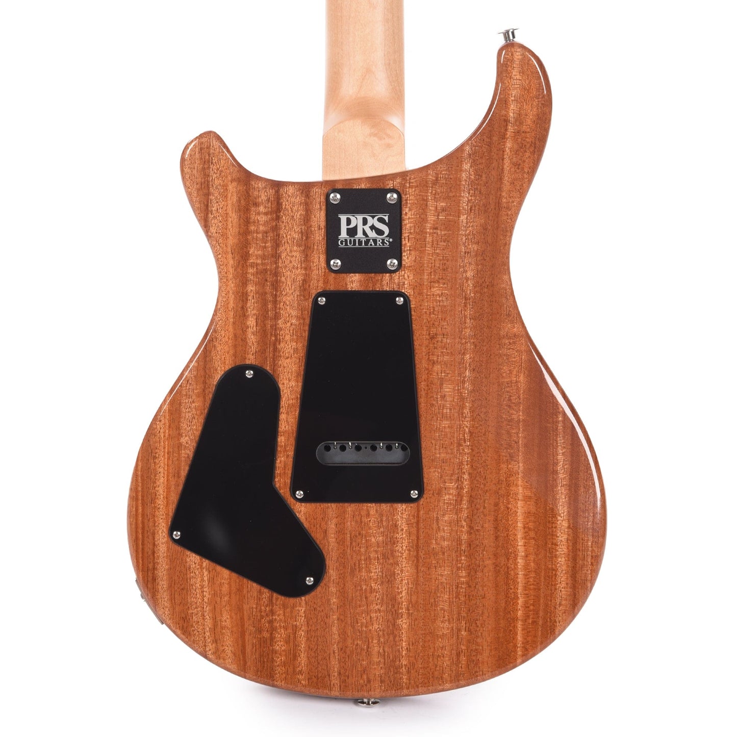 PRS CE 24 Semi-Hollow Eriza Verde Electric Guitars / Semi-Hollow
