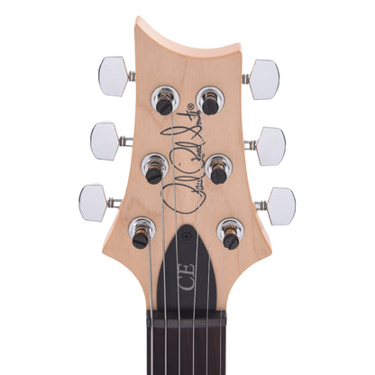 PRS CE 24 Semi-Hollow Eriza Verde Electric Guitars / Semi-Hollow