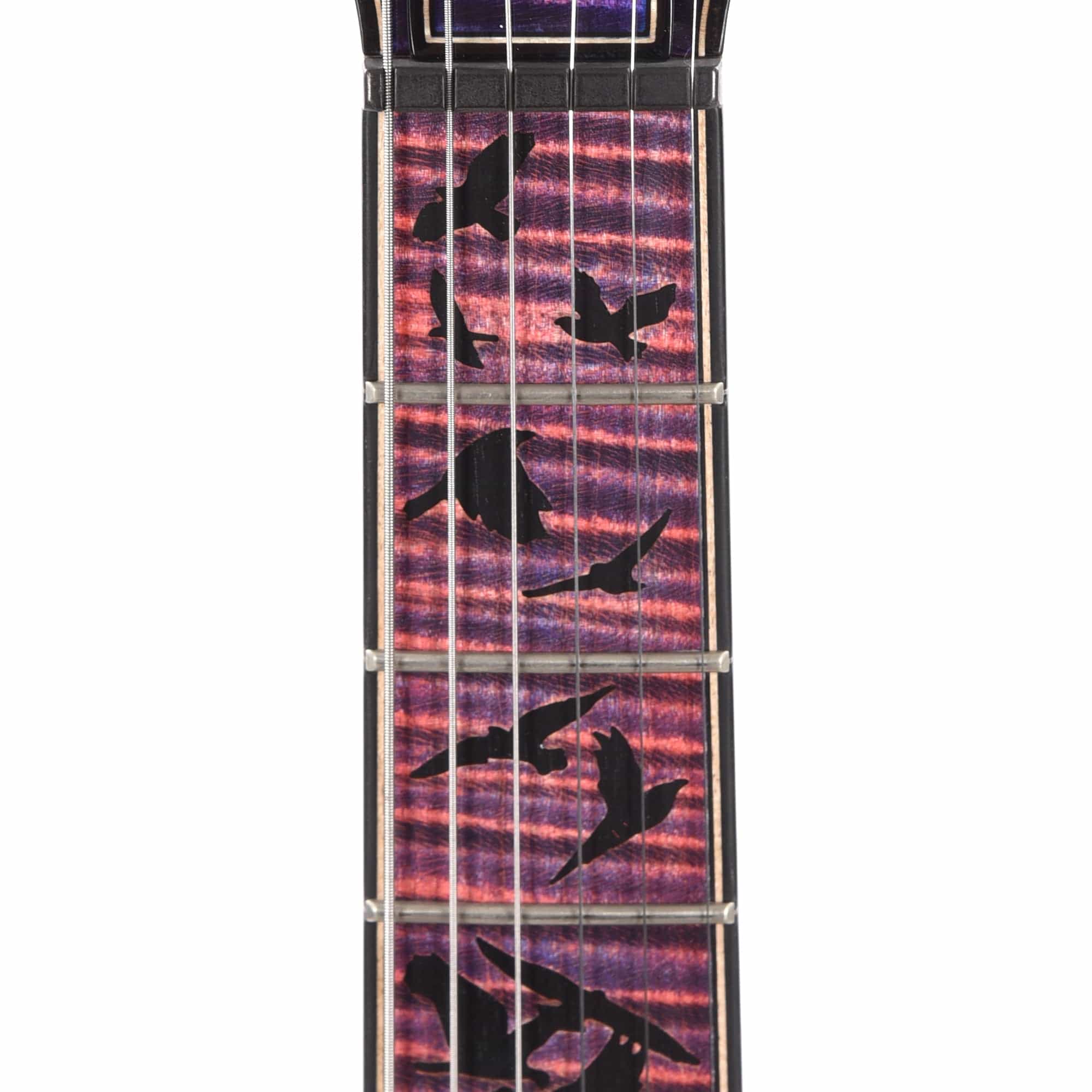 PRS Private Stock #10457 Special Semi-Hollow Ultra Violet Smoked Burst w/Birds of a Feather Inlay & Figured Mahogany Neck Electric Guitars / Semi-Hollow