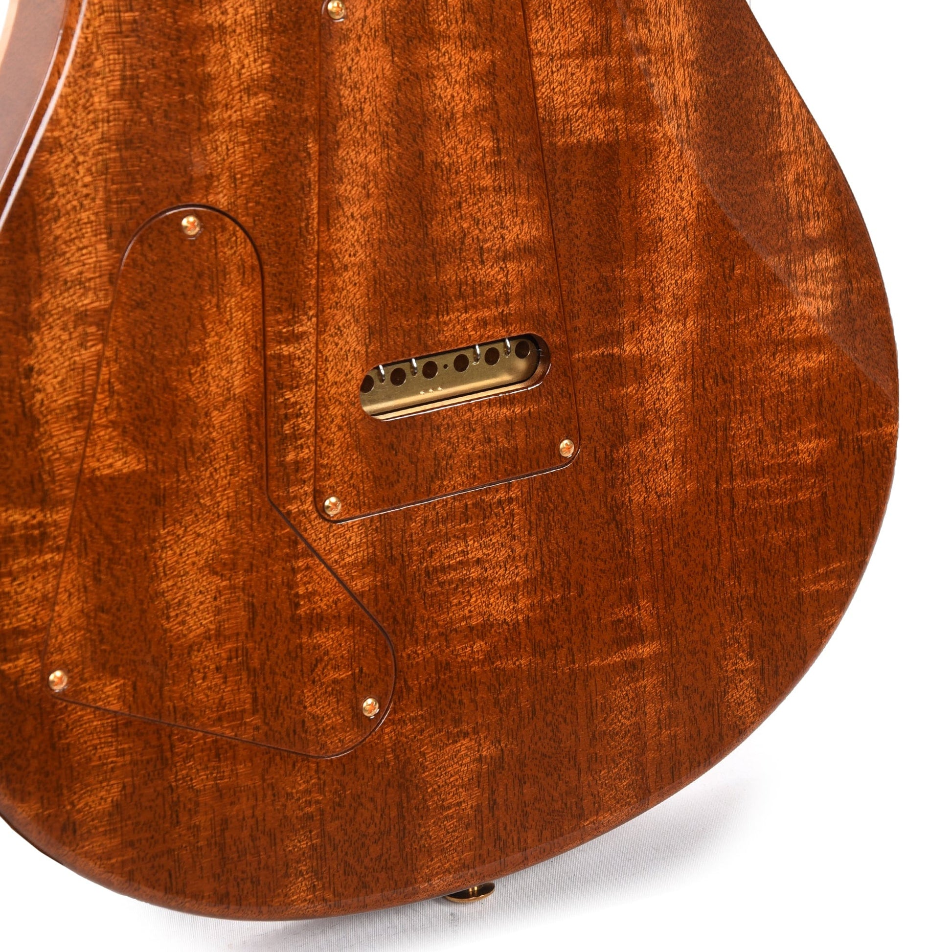 PRS Private Stock #10457 Special Semi-Hollow Ultra Violet Smoked Burst w/Birds of a Feather Inlay & Figured Mahogany Neck Electric Guitars / Semi-Hollow