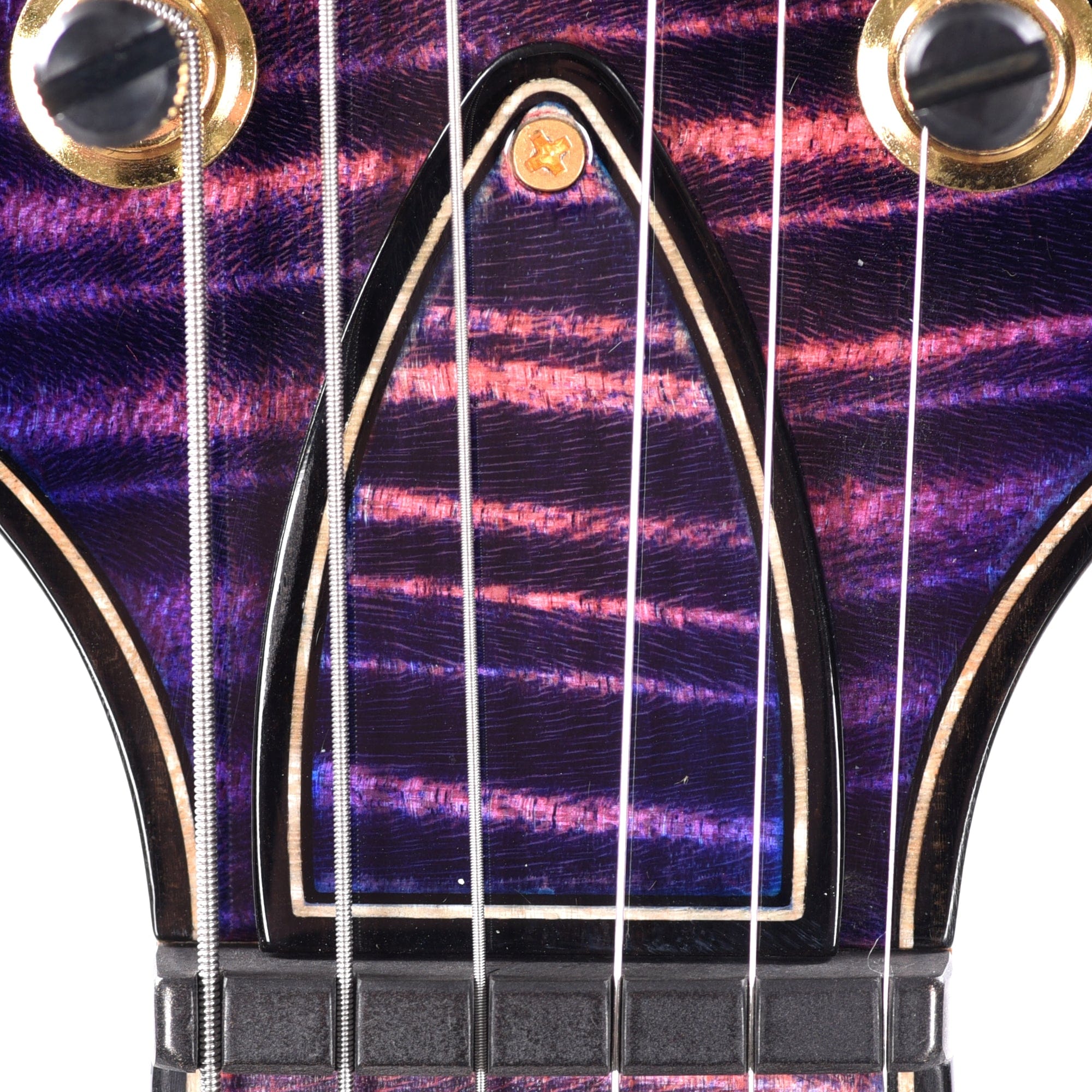 PRS Private Stock #10457 Special Semi-Hollow Ultra Violet Smoked Burst w/Birds of a Feather Inlay & Figured Mahogany Neck Electric Guitars / Semi-Hollow