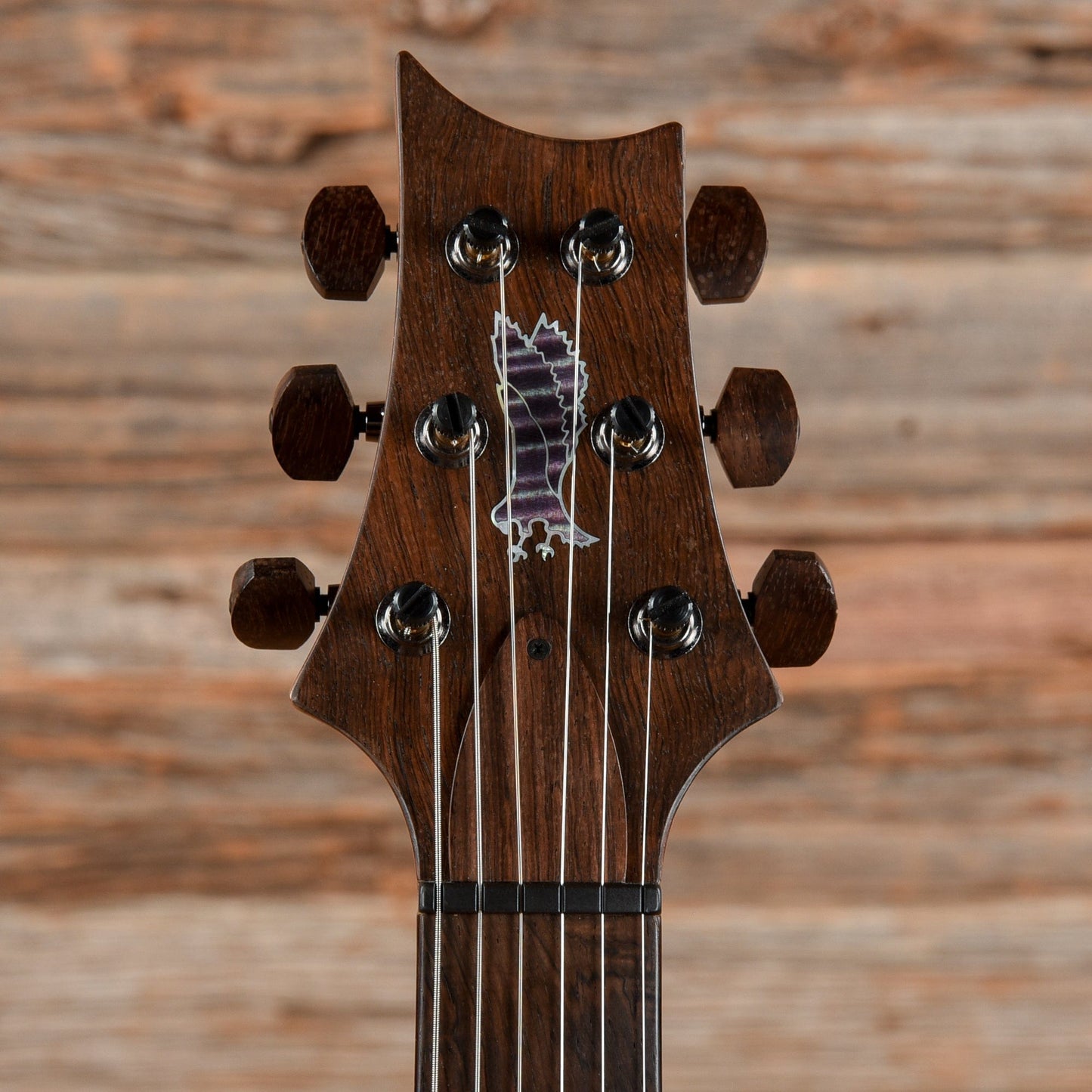 PRS Private Stock Special 22 Semi-Hollow Northern Lights 2019 Electric Guitars / Semi-Hollow