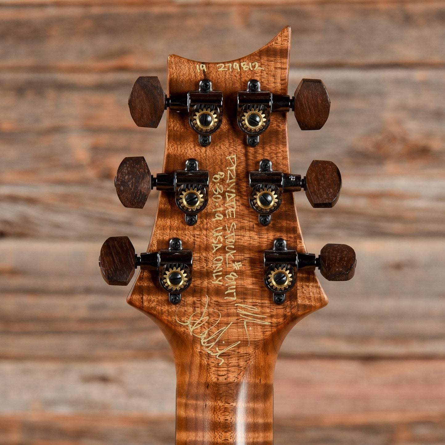 PRS Private Stock Special 22 Semi-Hollow Northern Lights 2019 Electric Guitars / Semi-Hollow