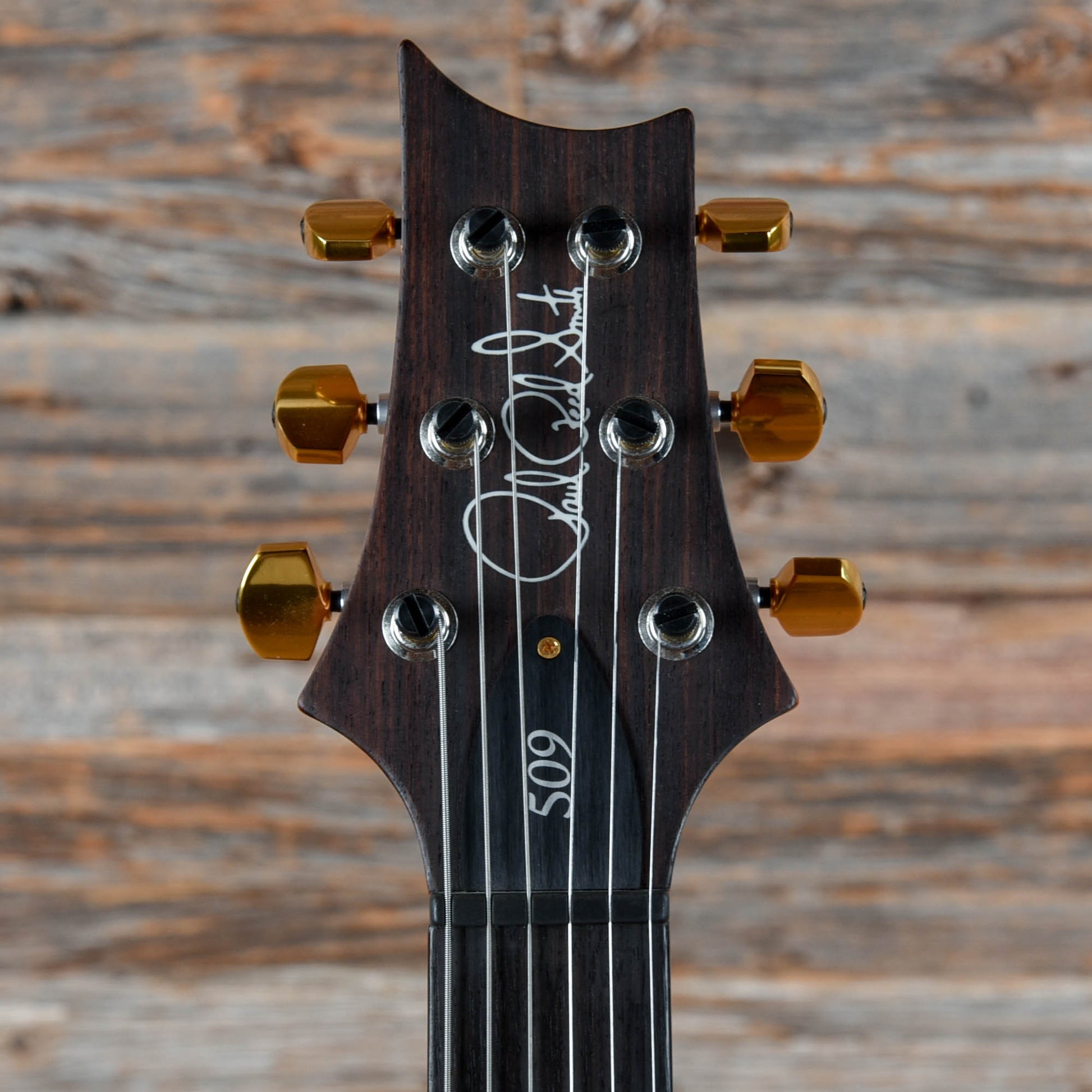 PRS 509 10-Top Purple Iris 2021 Electric Guitars / Solid Body