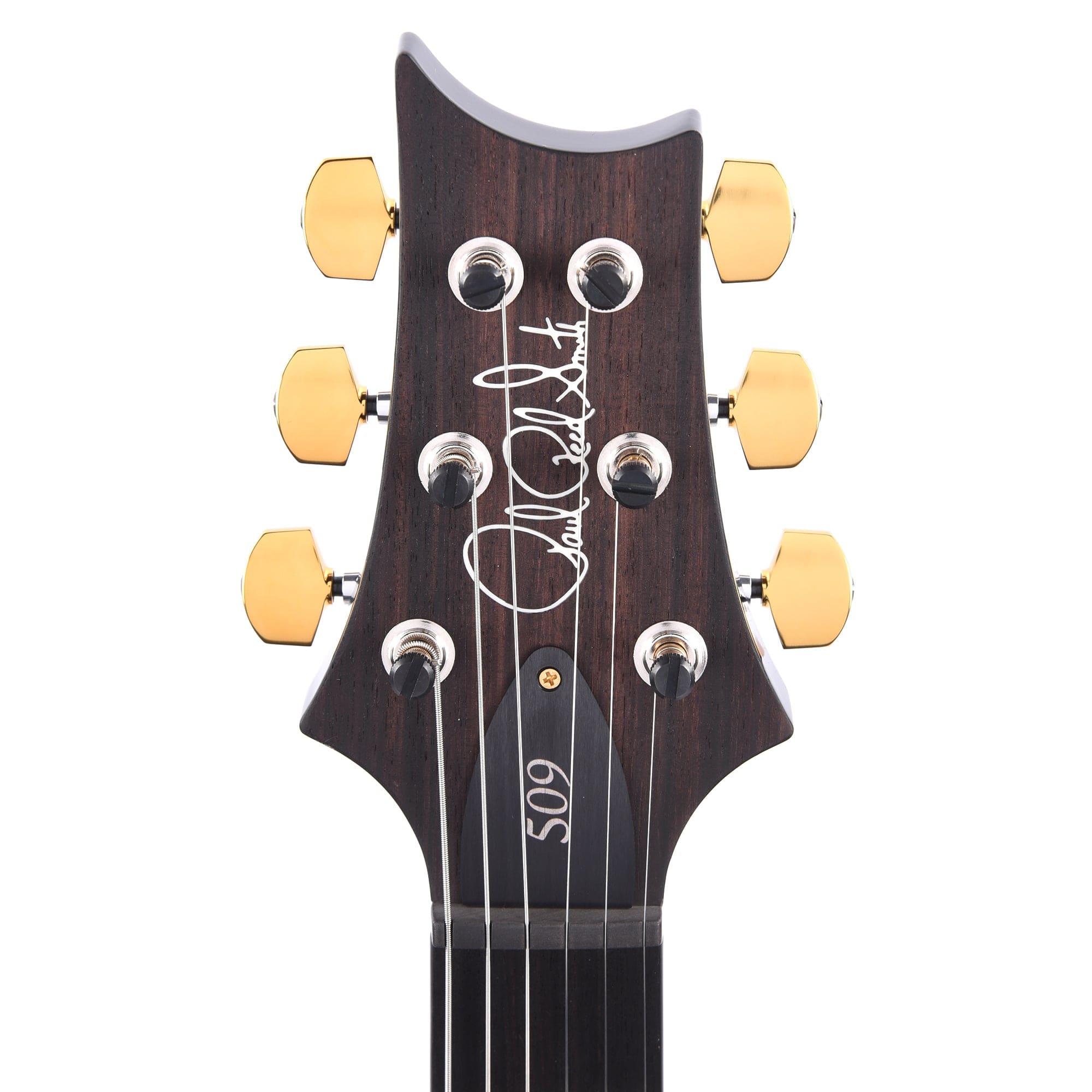 PRS 509 10 Top Purple Mist Electric Guitars / Solid Body