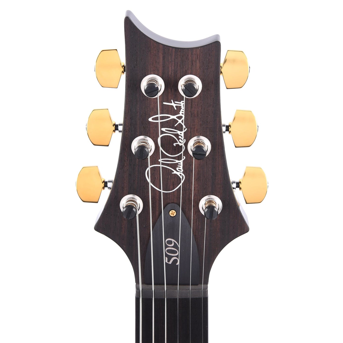 PRS 509 10 Top Purple Mist Electric Guitars / Solid Body