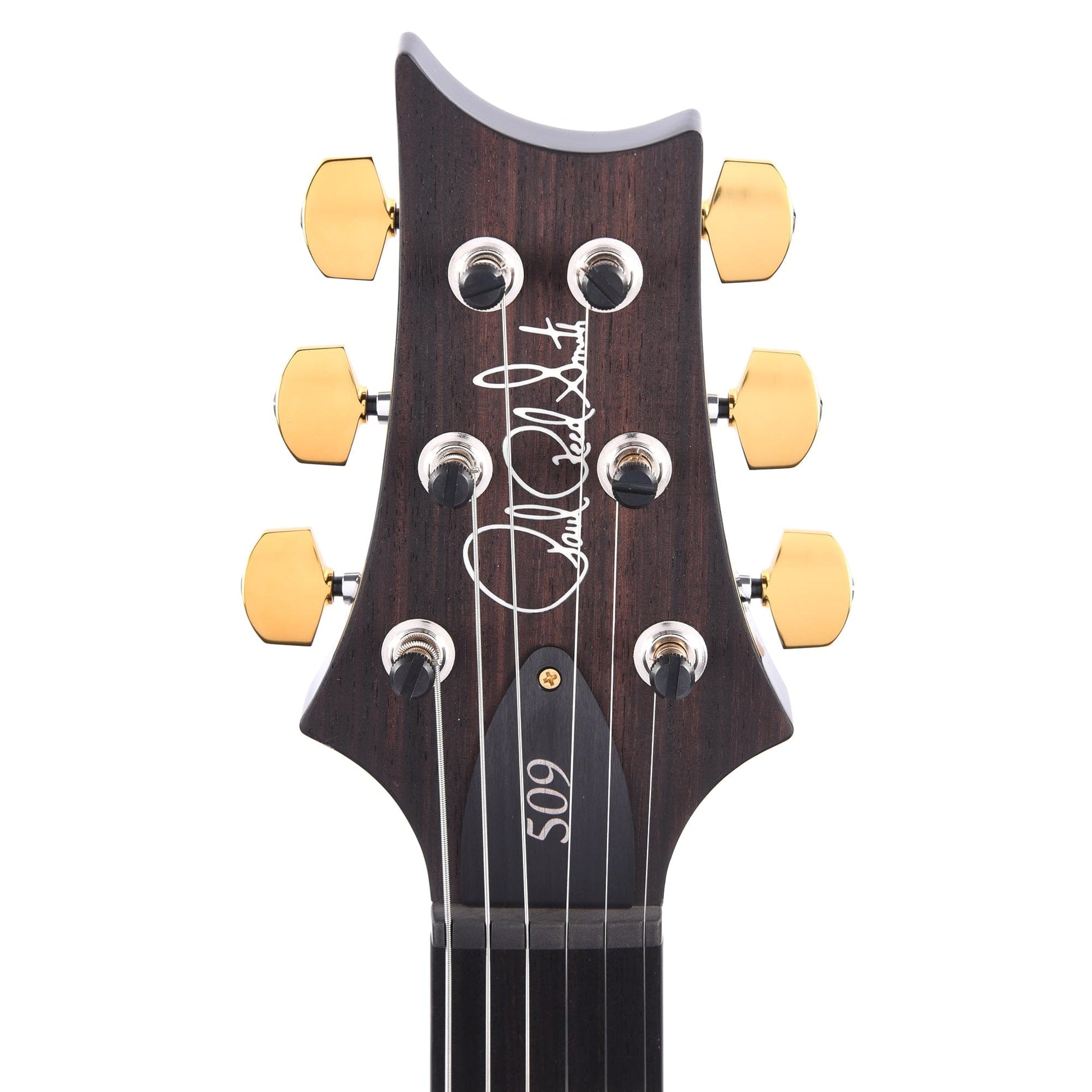 PRS 509 10 Top Purple Mist Electric Guitars / Solid Body