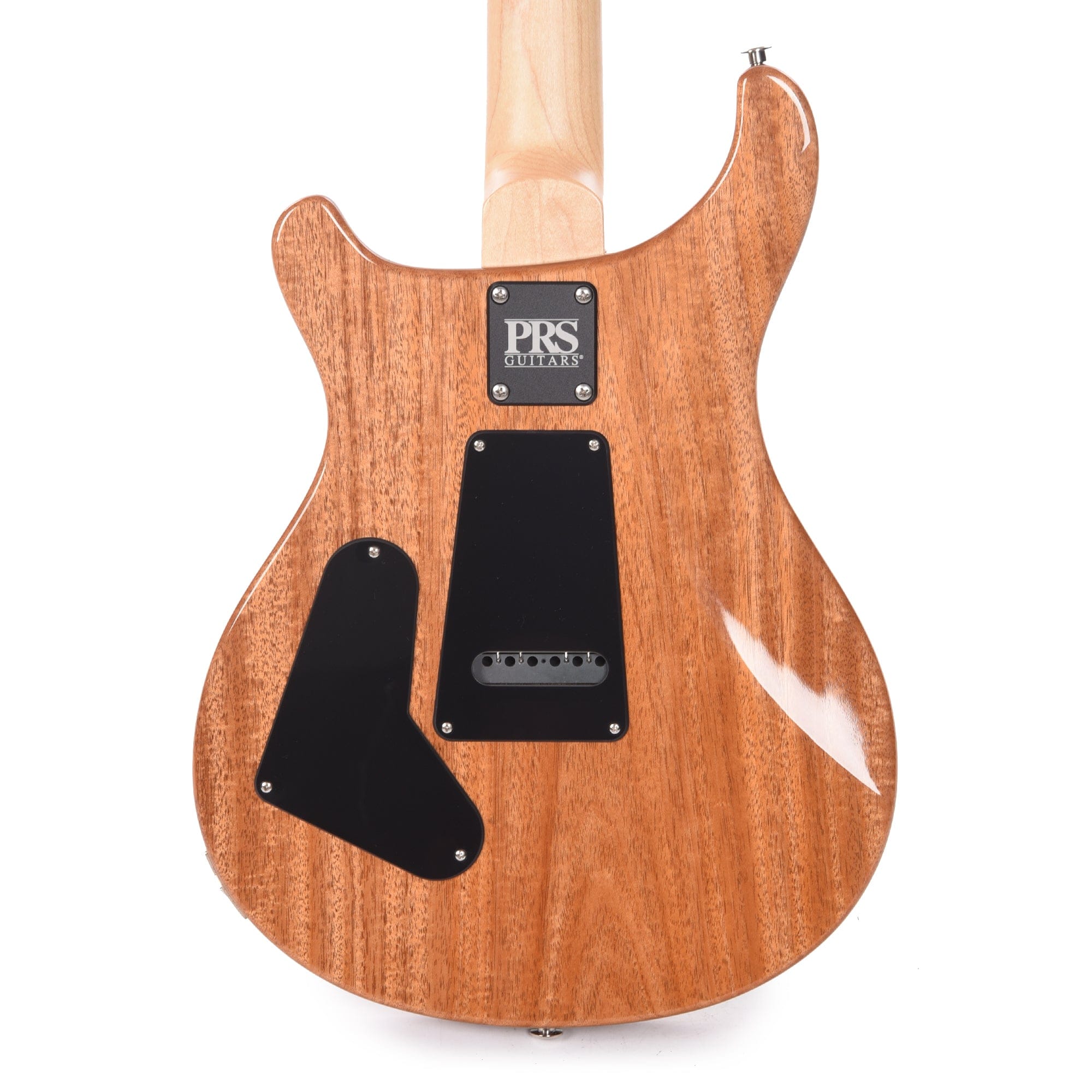 PRS CE 24 Eriza Verde Electric Guitars / Solid Body