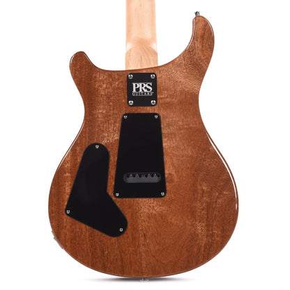 PRS CE 24 Eriza Verde Electric Guitars / Solid Body