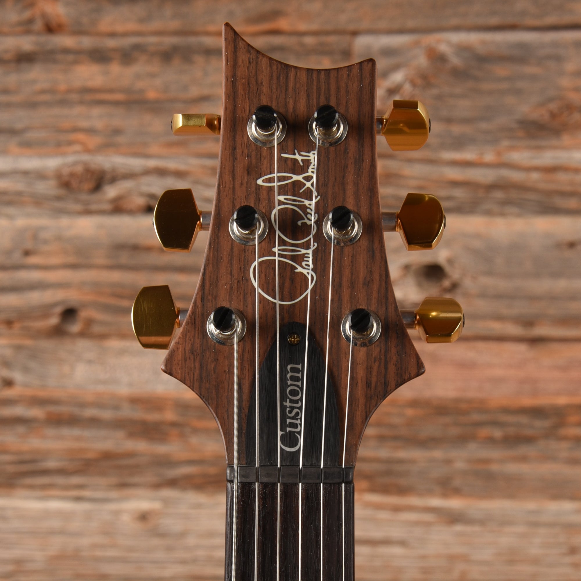 PRS Custom 24 Eriza Verde 2018 Electric Guitars / Solid Body