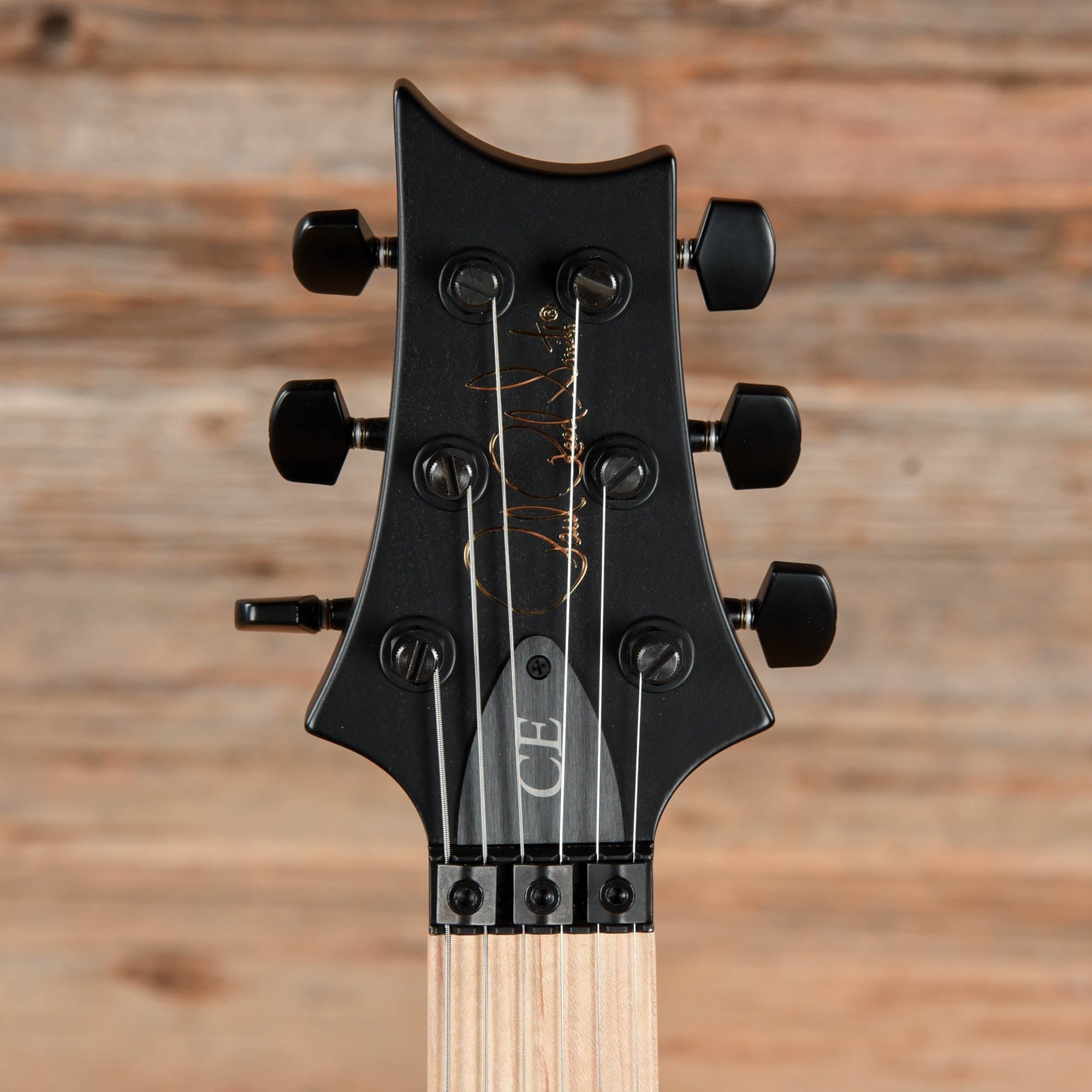 PRS Dustie Waring Signature CE 24 Floyd Gray Black 2022 Electric Guitars / Solid Body