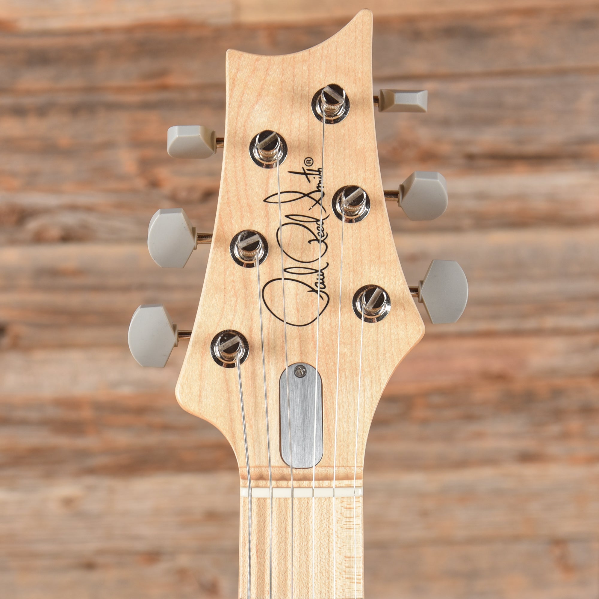 PRS John Mayer Silver Sky Frost 2023 Electric Guitars / Solid Body