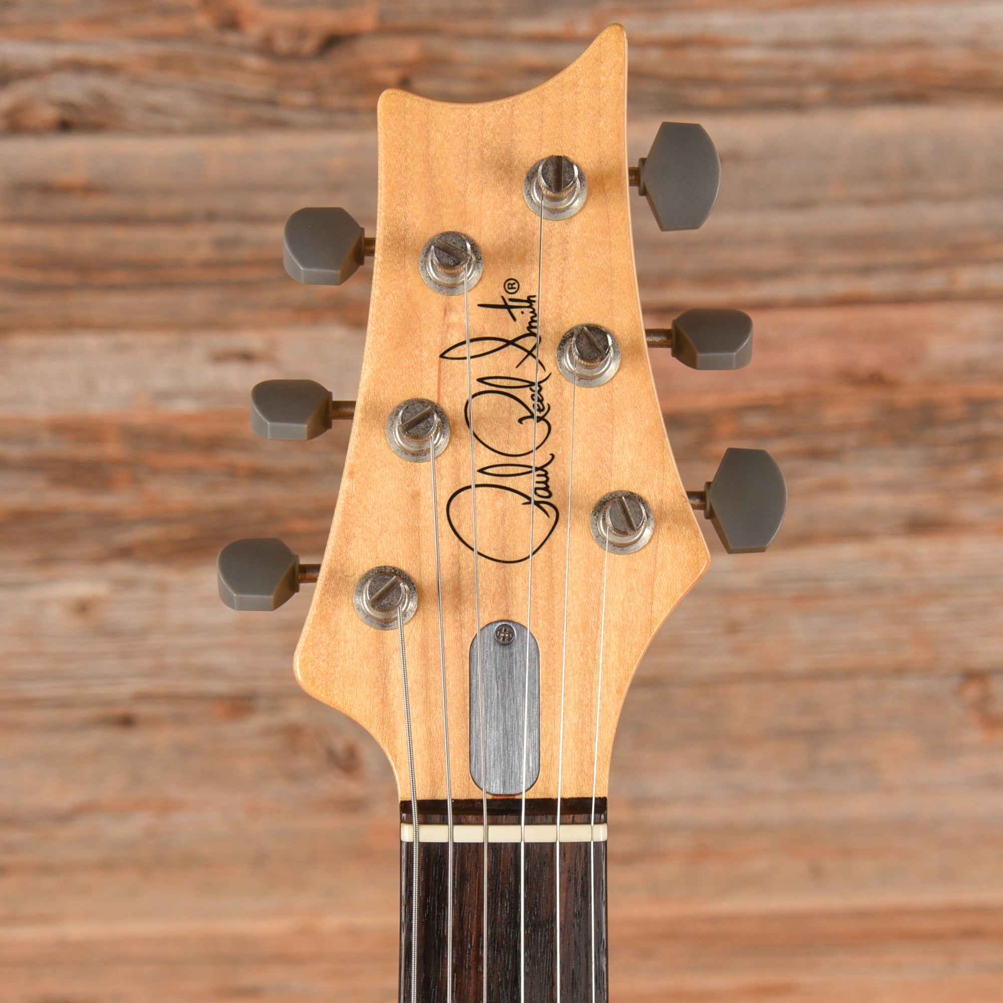 PRS John Mayer Silver Sky Horizon 2018 Electric Guitars / Solid Body