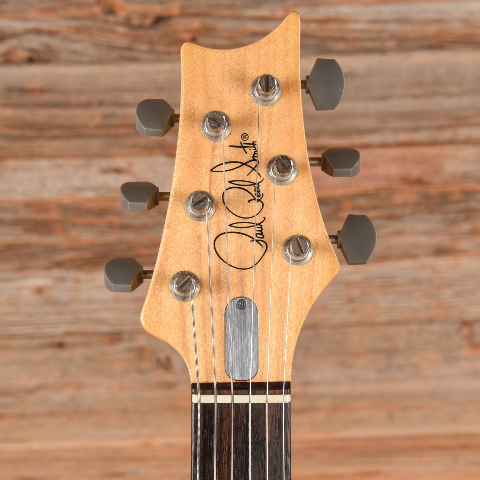 PRS John Mayer Silver Sky Horizon 2018 Electric Guitars / Solid Body