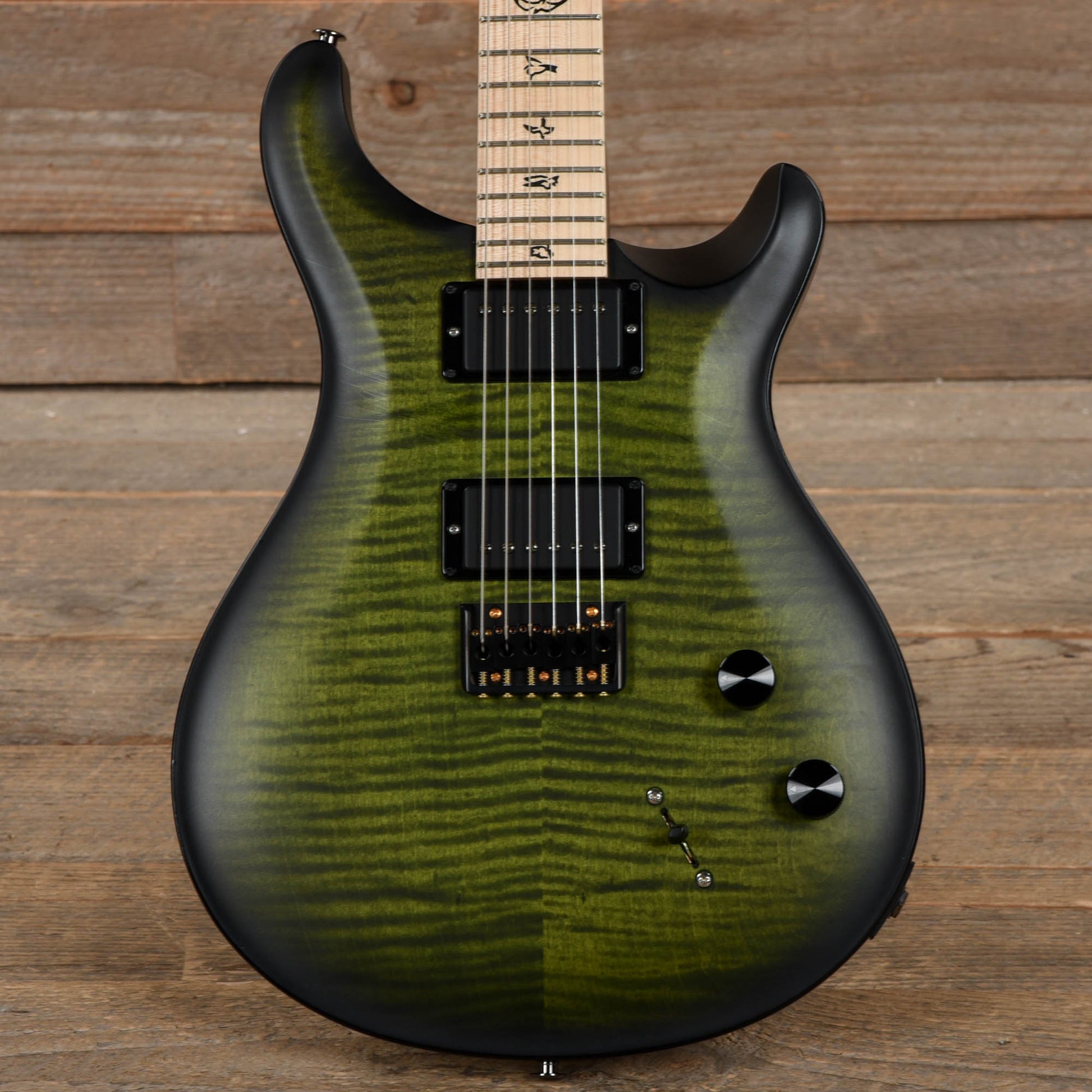 PRS Limited Edition Dustie Waring CE 24 Hardtail Jade Smokeburst Electric Guitars / Solid Body