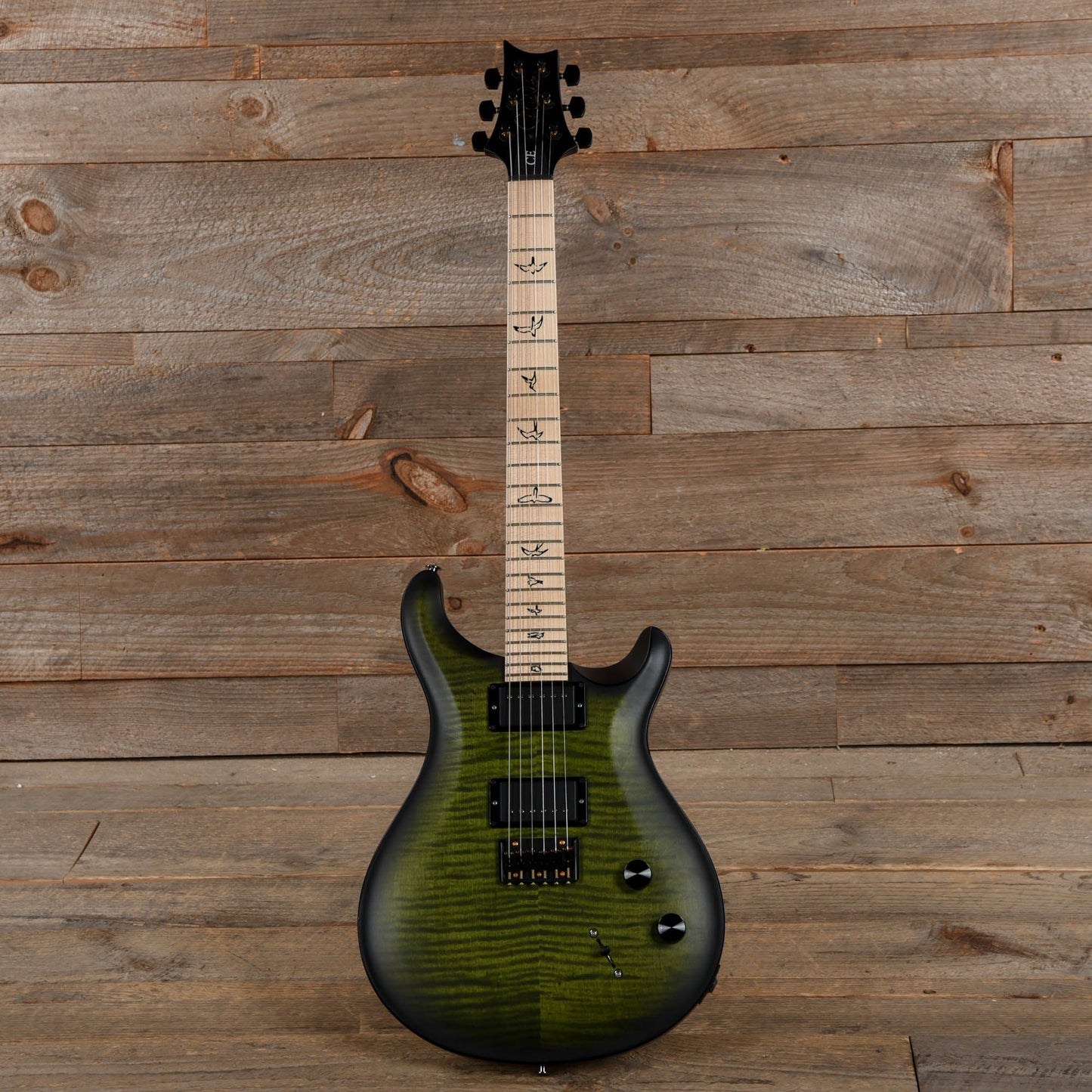 PRS Limited Edition Dustie Waring CE 24 Hardtail Jade Smokeburst Electric Guitars / Solid Body