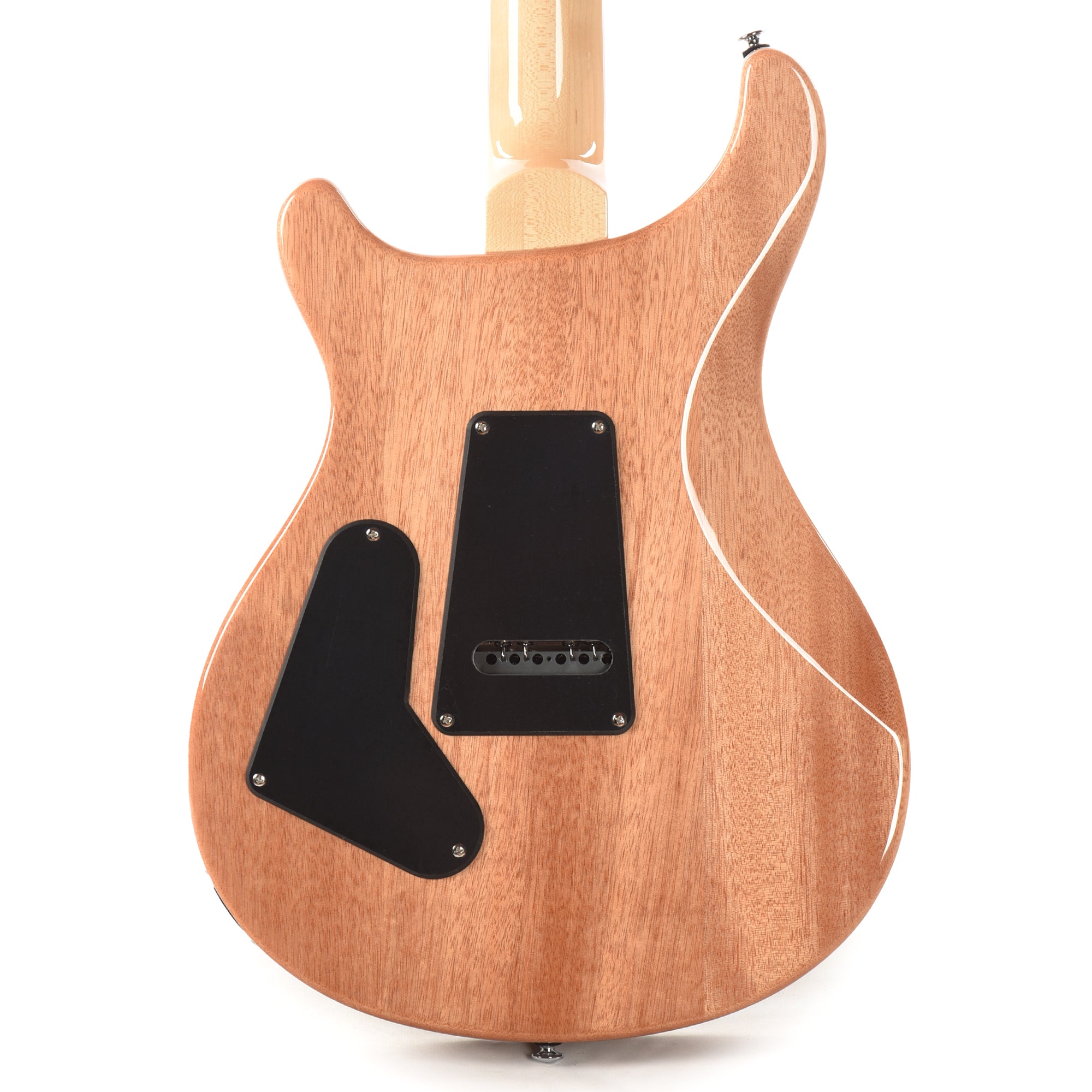 PRS Limited Edition SE Exotic Custom 24 Swamp Ash Burl Lake Blue w/Natural Back Electric Guitars / Solid Body