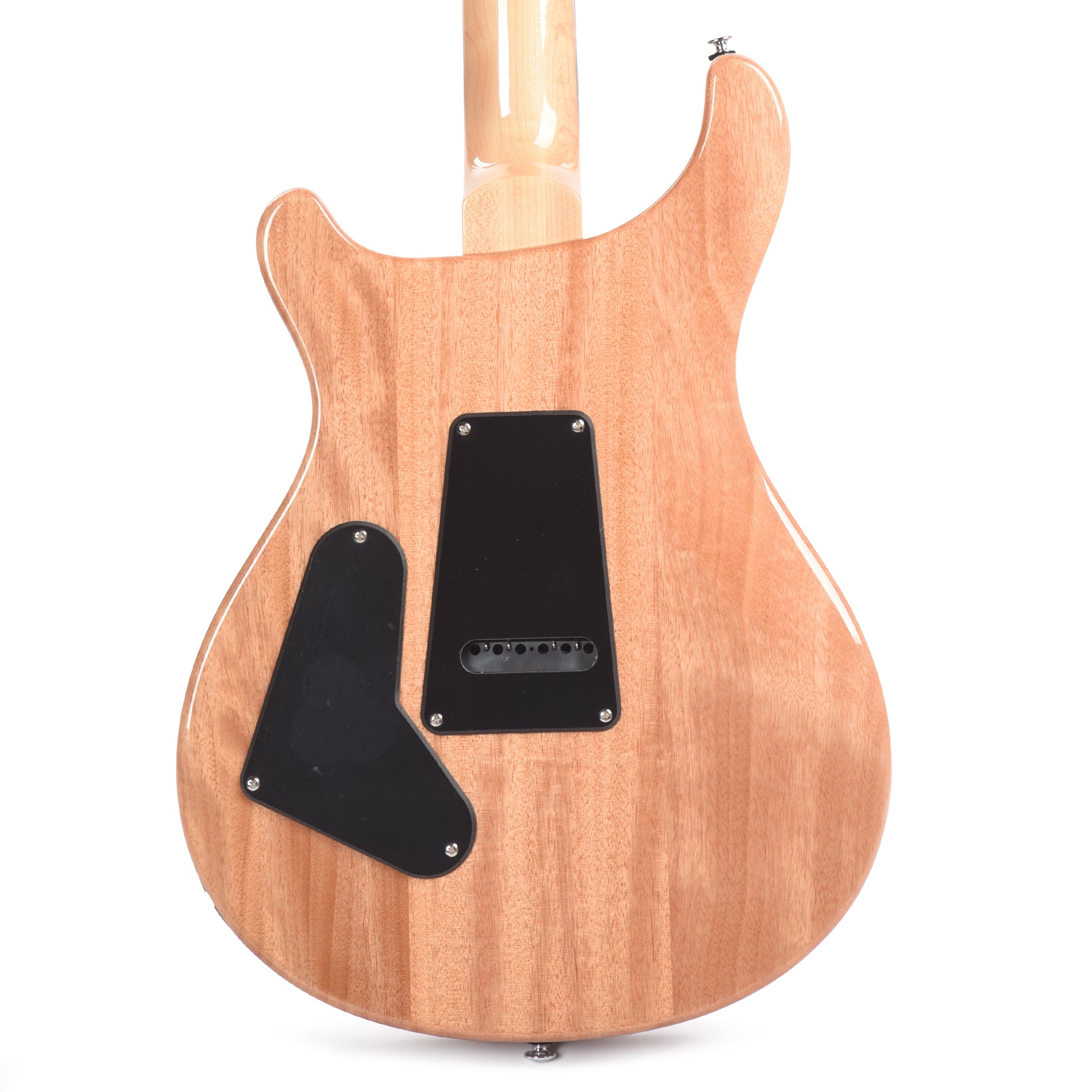 PRS Limited Edition SE Exotic Custom 24 Swamp Ash Burl Natural Electric Guitars / Solid Body