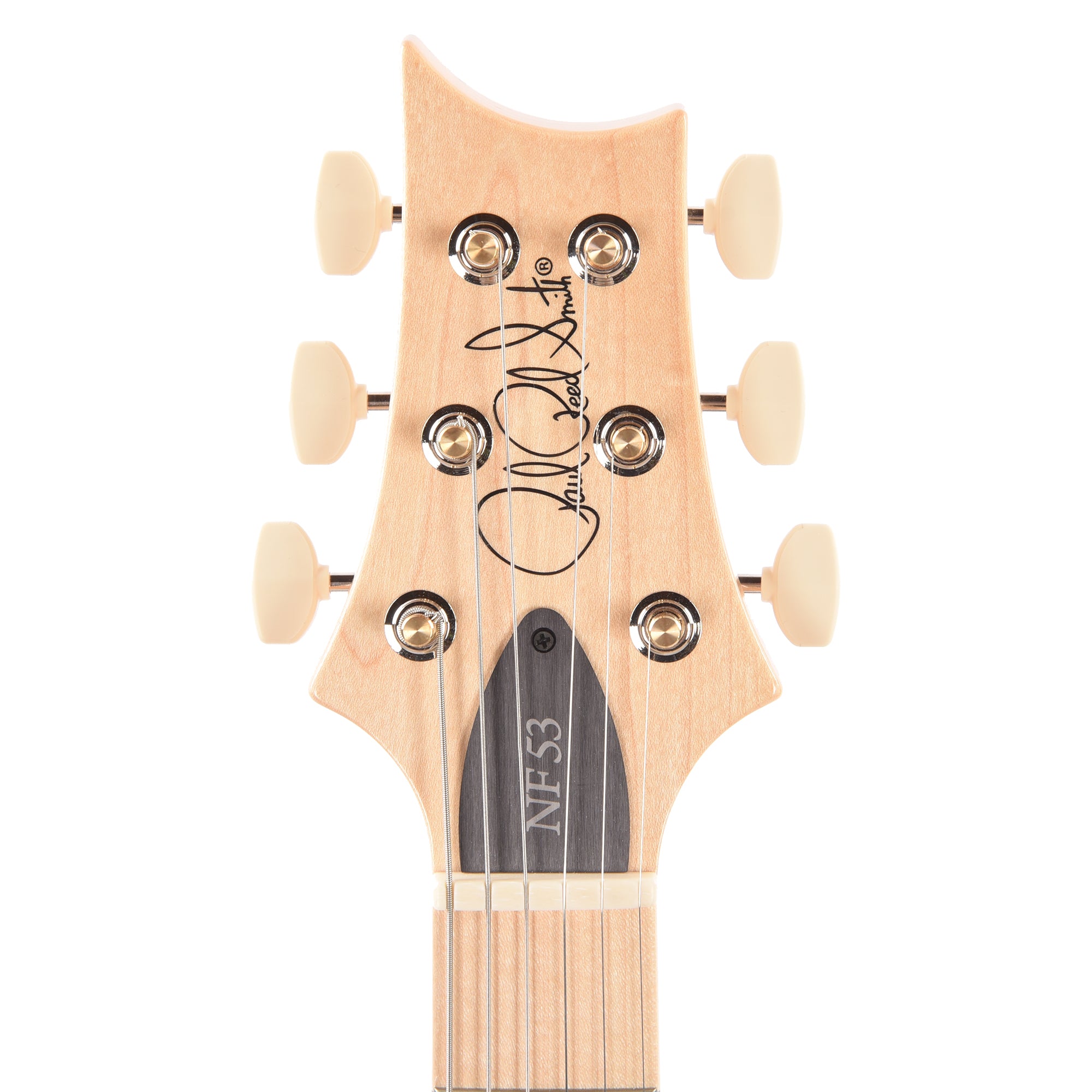 PRS NF 53 Blue Matteo Electric Guitars / Solid Body