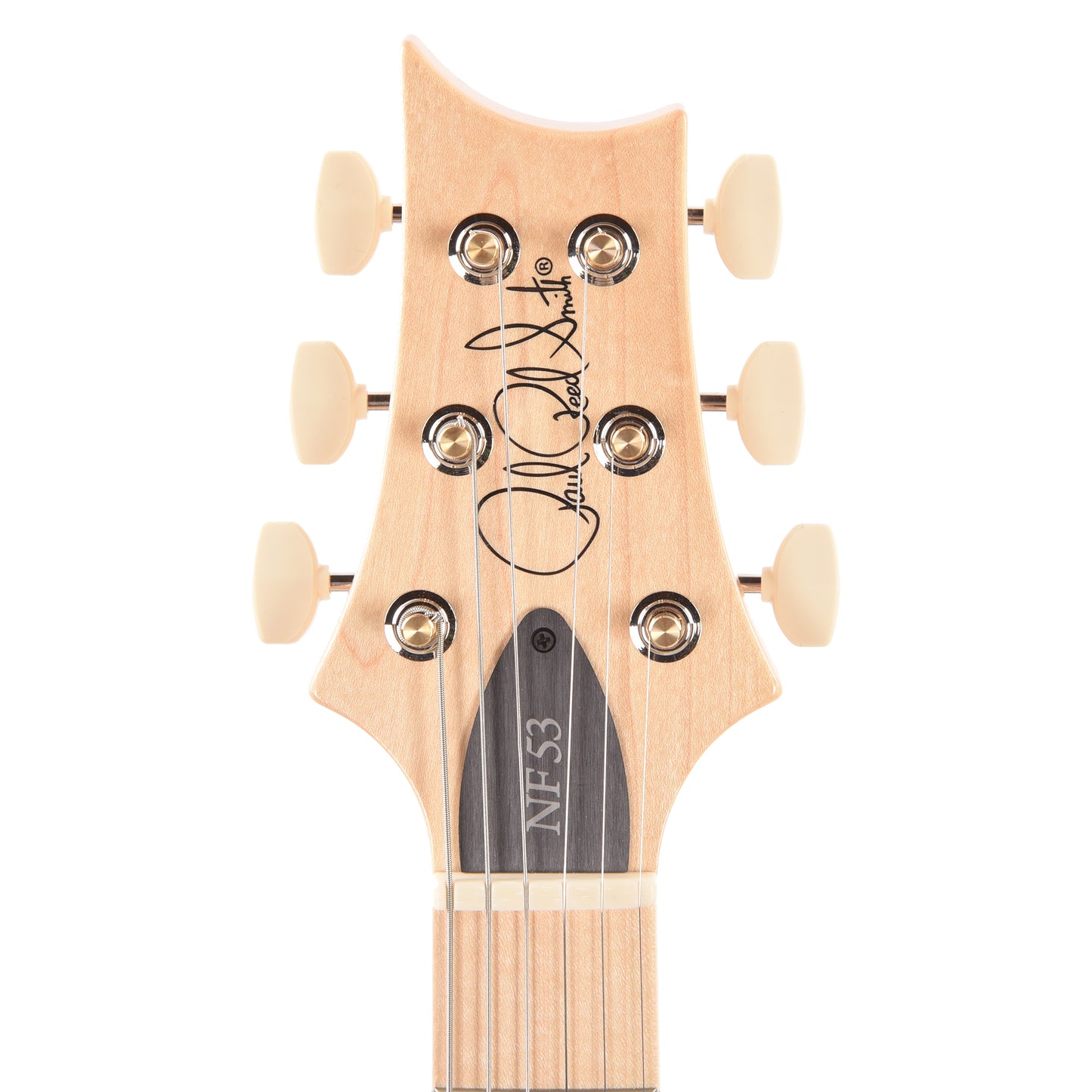 PRS NF 53 Blue Matteo Electric Guitars / Solid Body