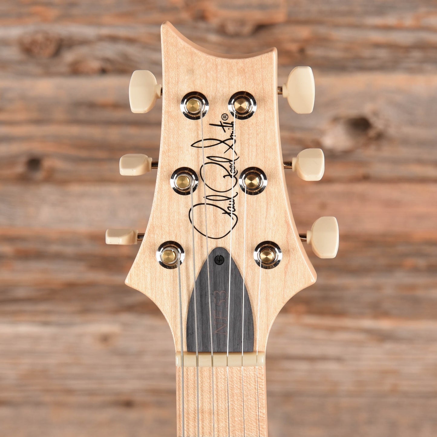 PRS NF 53 Doghair 2024 Electric Guitars / Solid Body