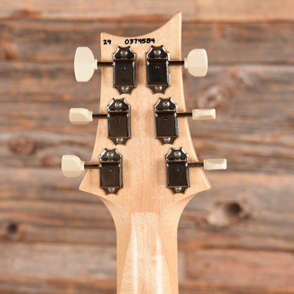 PRS NF 53 Doghair 2024 Electric Guitars / Solid Body