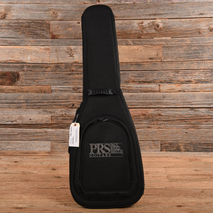 PRS NF 53 Doghair 2024 Electric Guitars / Solid Body