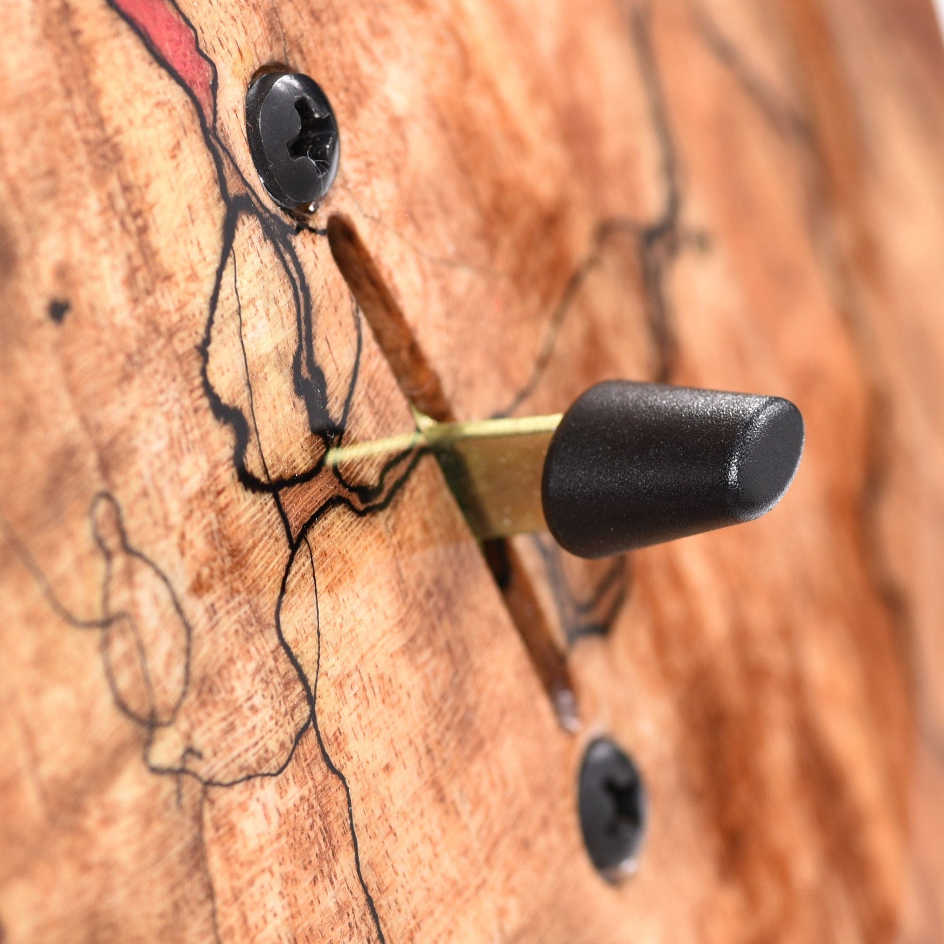 PRS Private Stock #10439 Custom 22 Salmon Spalted Maple w/Roasted Curly Maple Neck & Macassar Ebony Fingerboard Electric Guitars / Solid Body