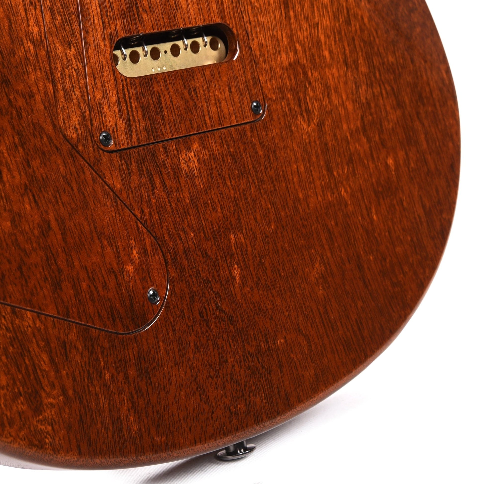 PRS Private Stock #10439 Custom 22 Salmon Spalted Maple w/Roasted Curly Maple Neck & Macassar Ebony Fingerboard Electric Guitars / Solid Body